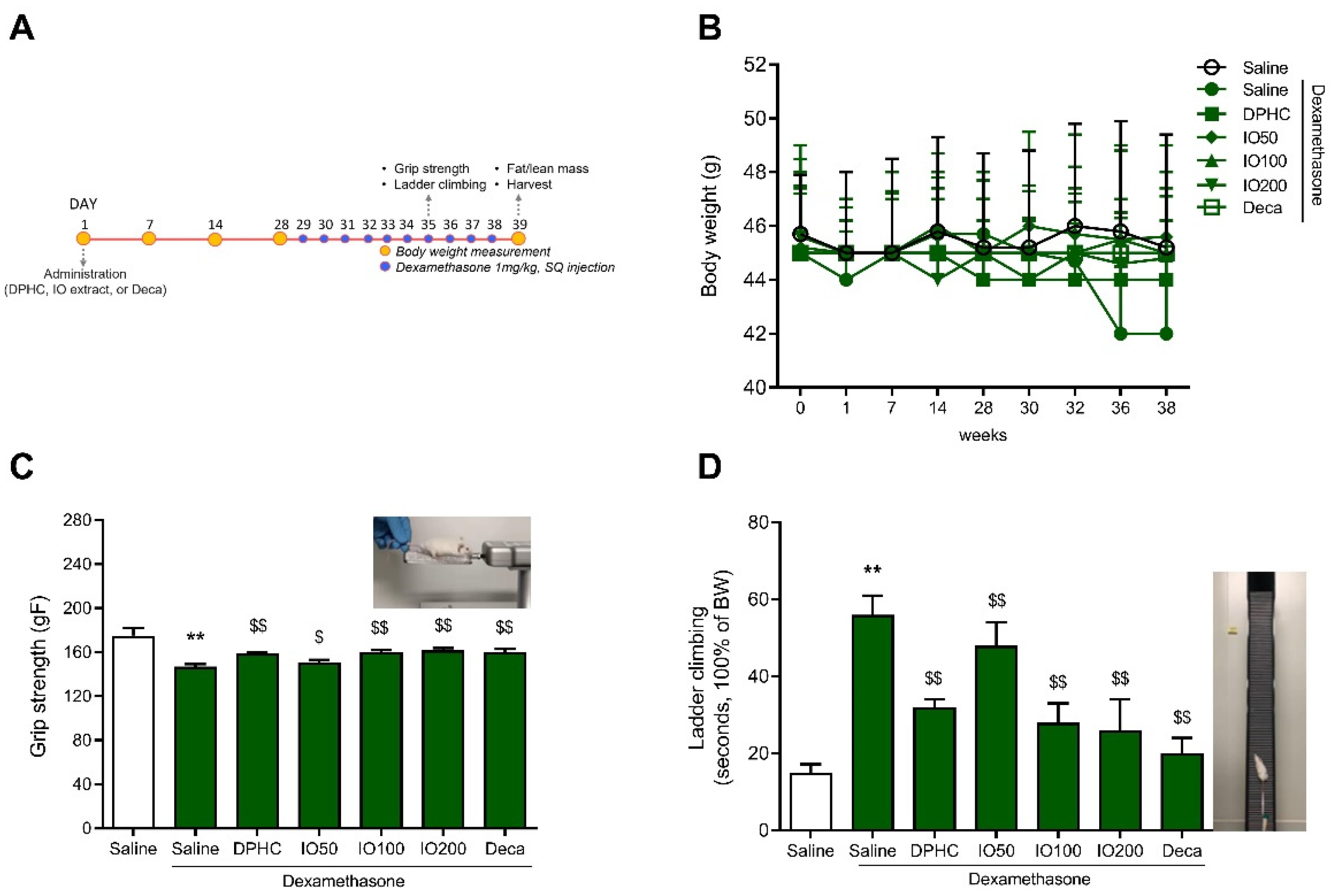 Pharmaceutics 14 00719 g001