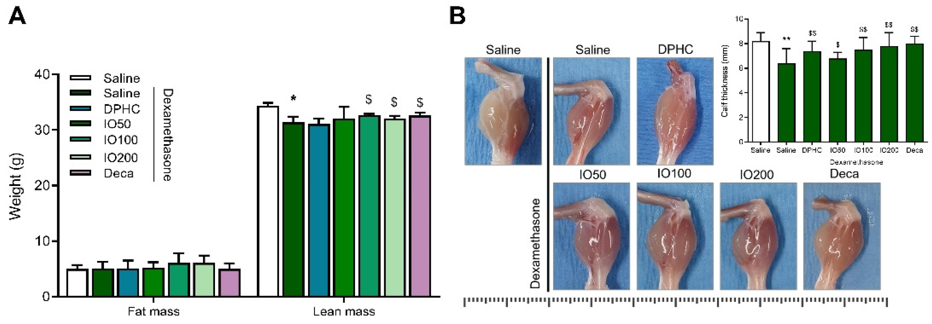 Pharmaceutics 14 00719 g002