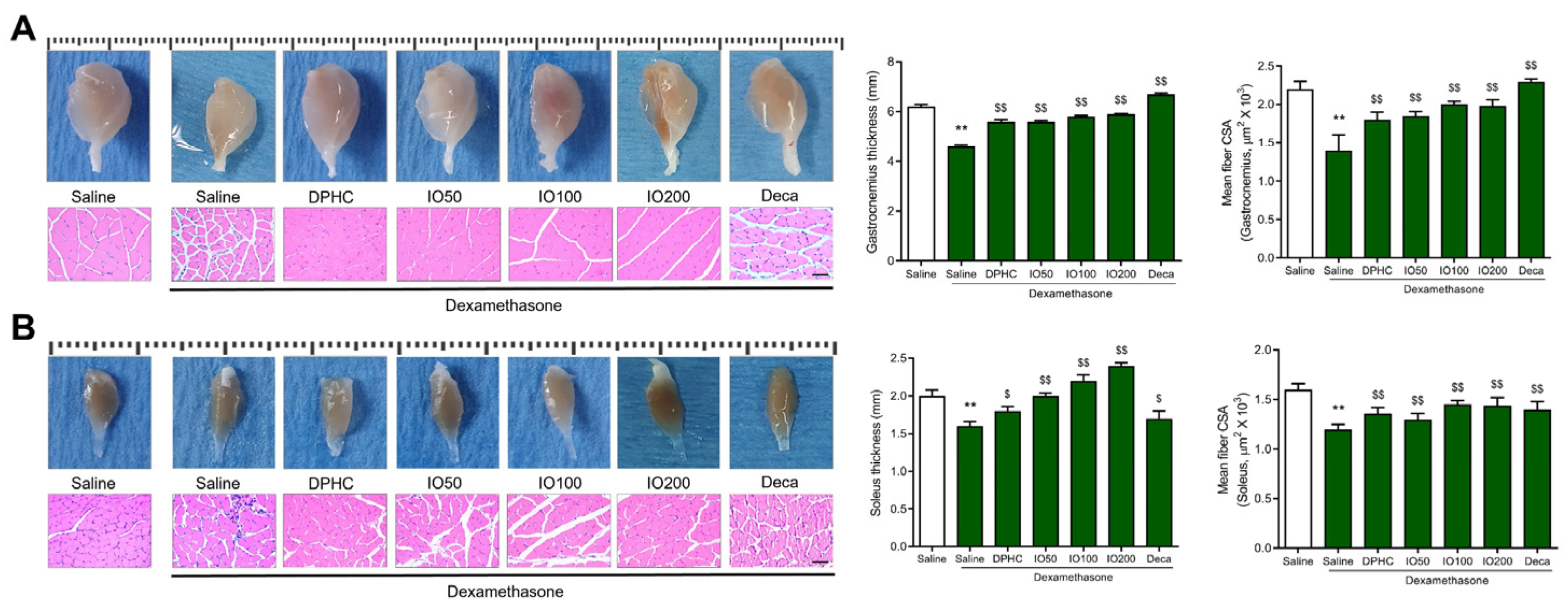 Pharmaceutics 14 00719 g003