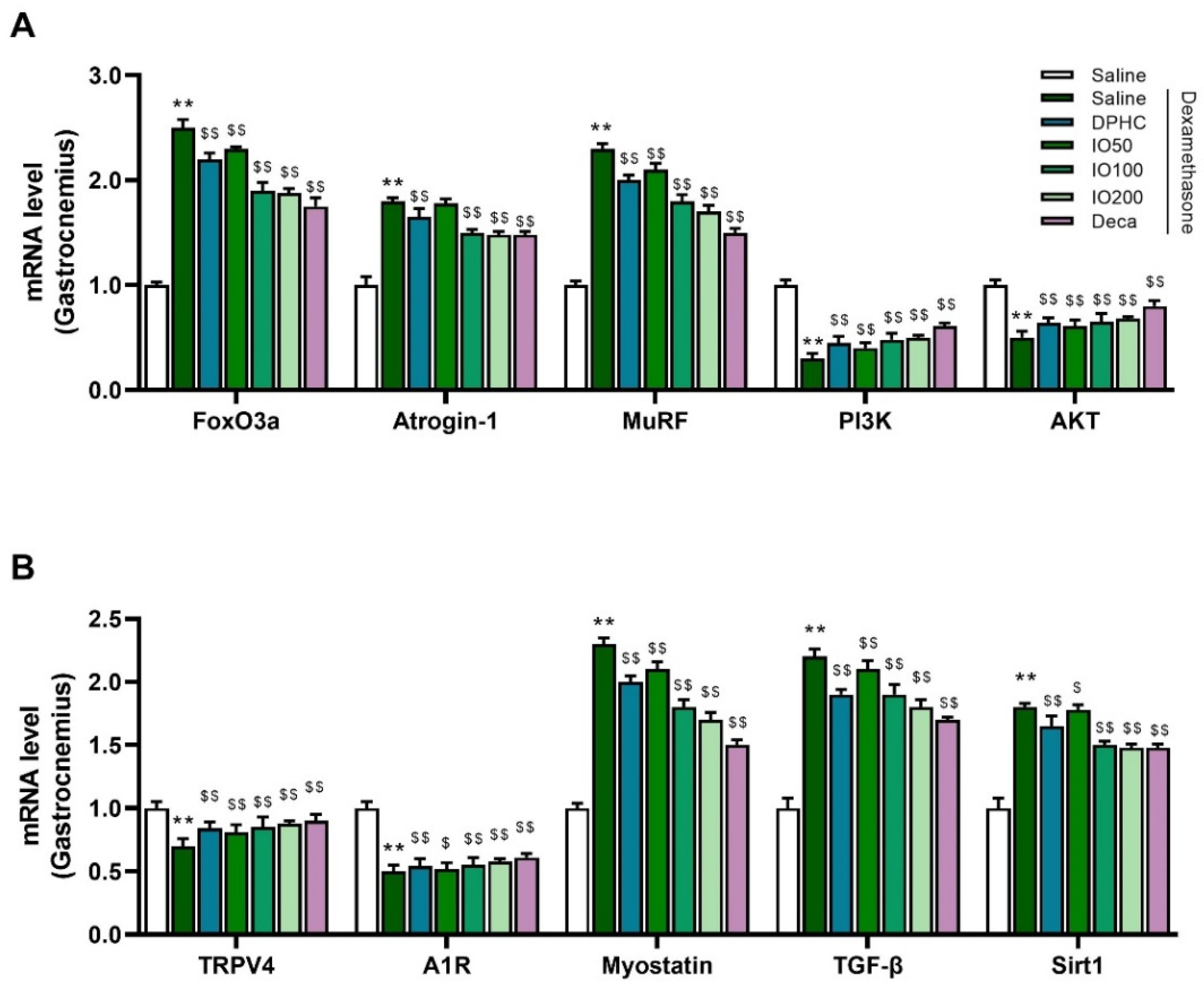 Pharmaceutics 14 00719 g004