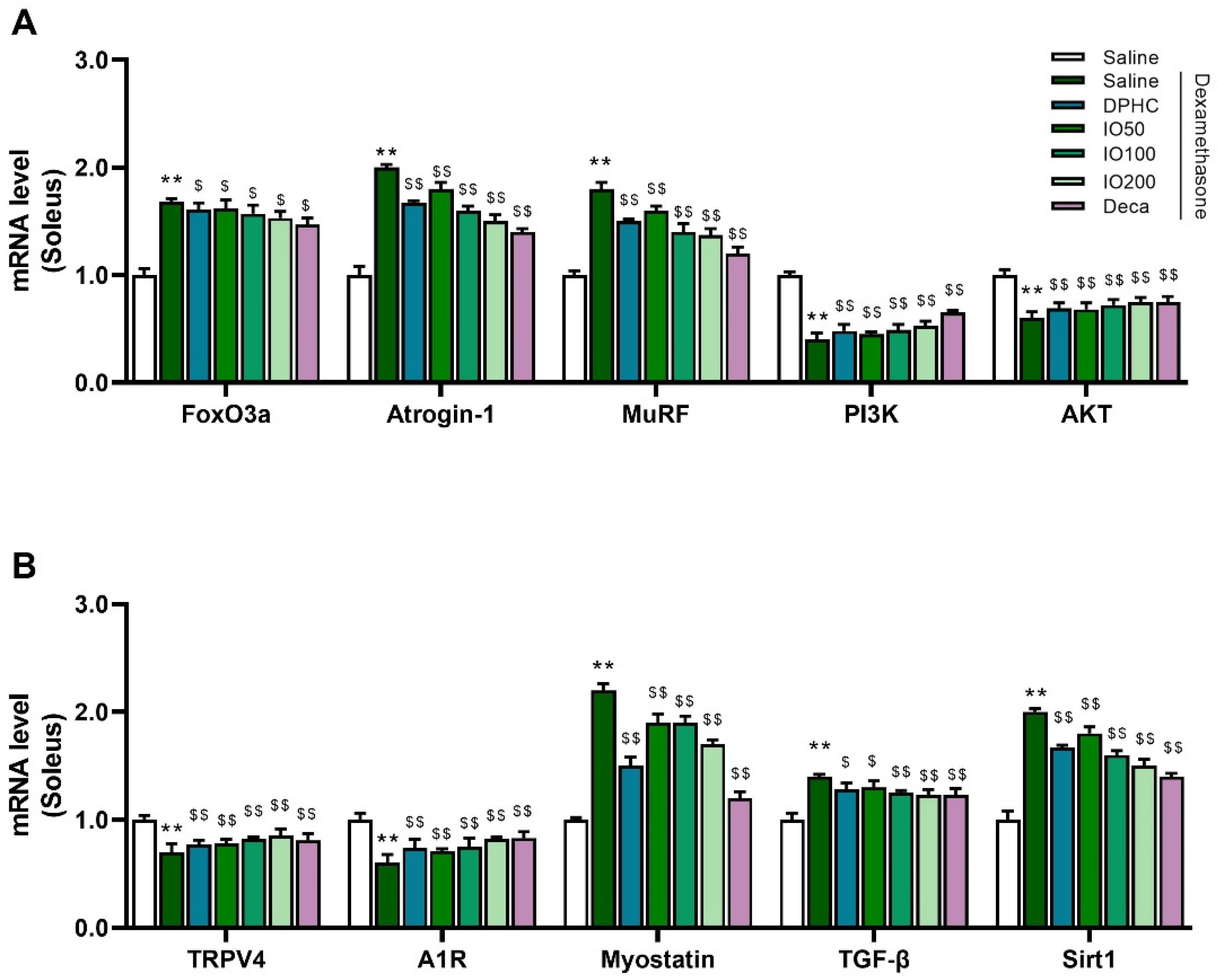 Pharmaceutics 14 00719 g005