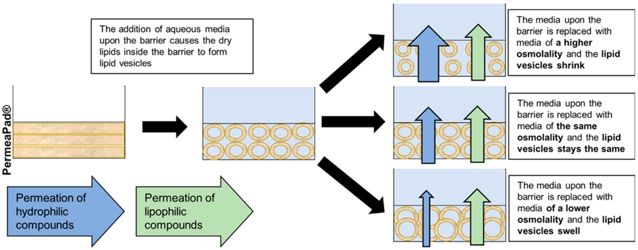 Pharmaceutics 14 00721 g002