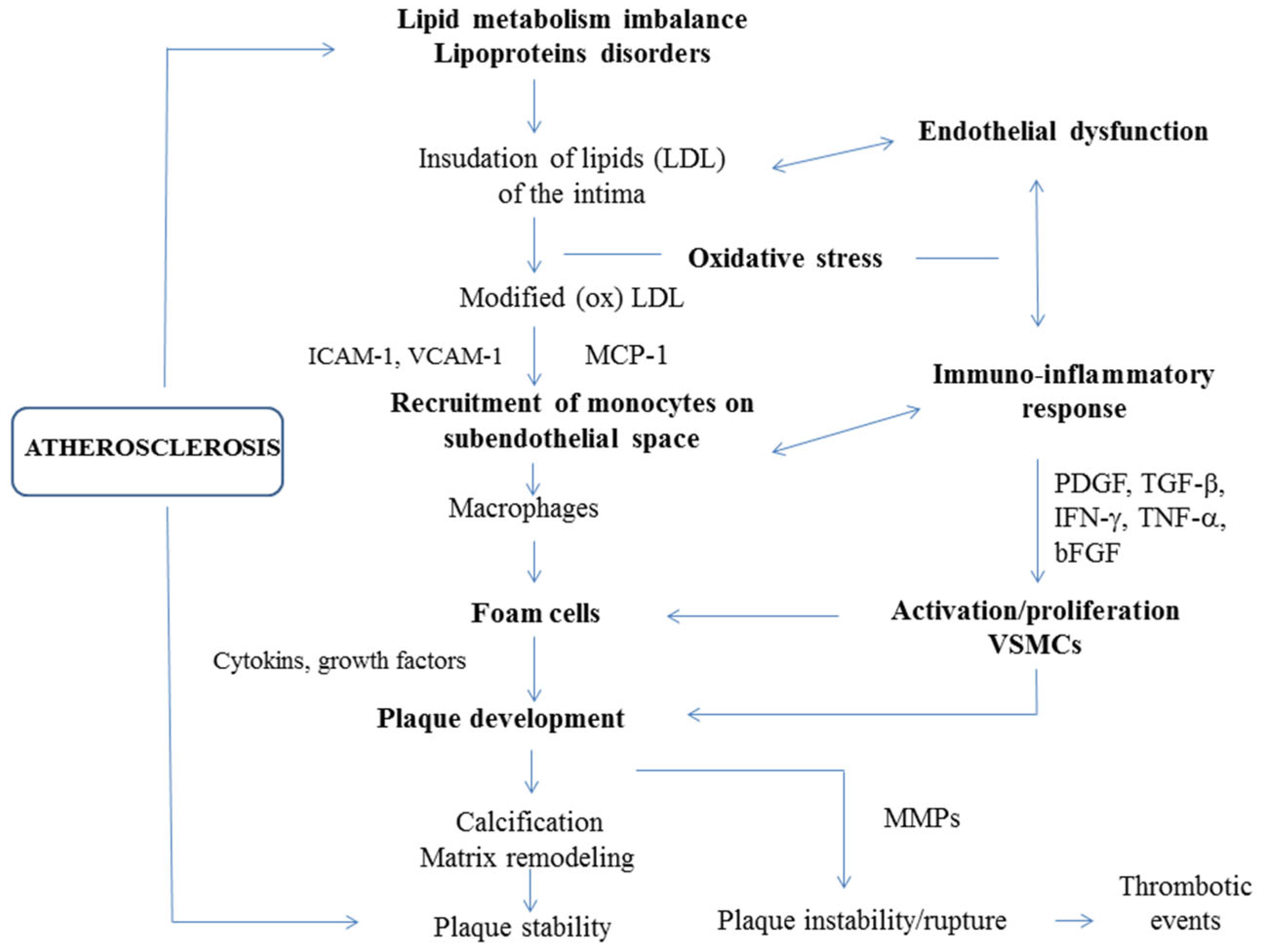 Pharmaceutics 14 00722 g001 Pharmaceutics 14 00722 g001
