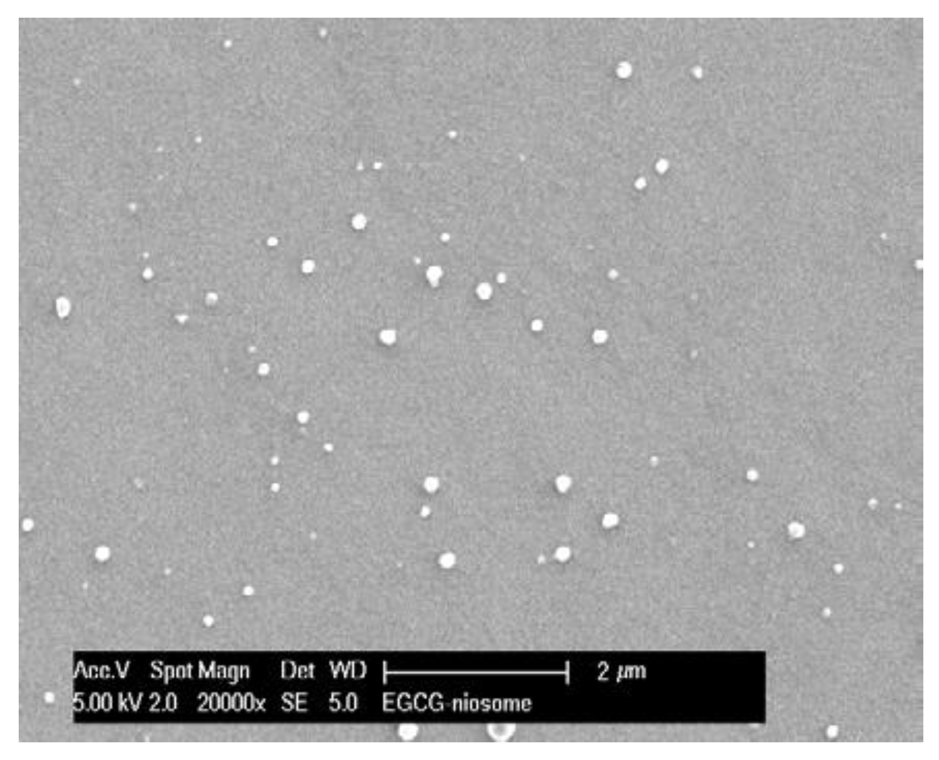 Pharmaceutics 14 00726 g002 550