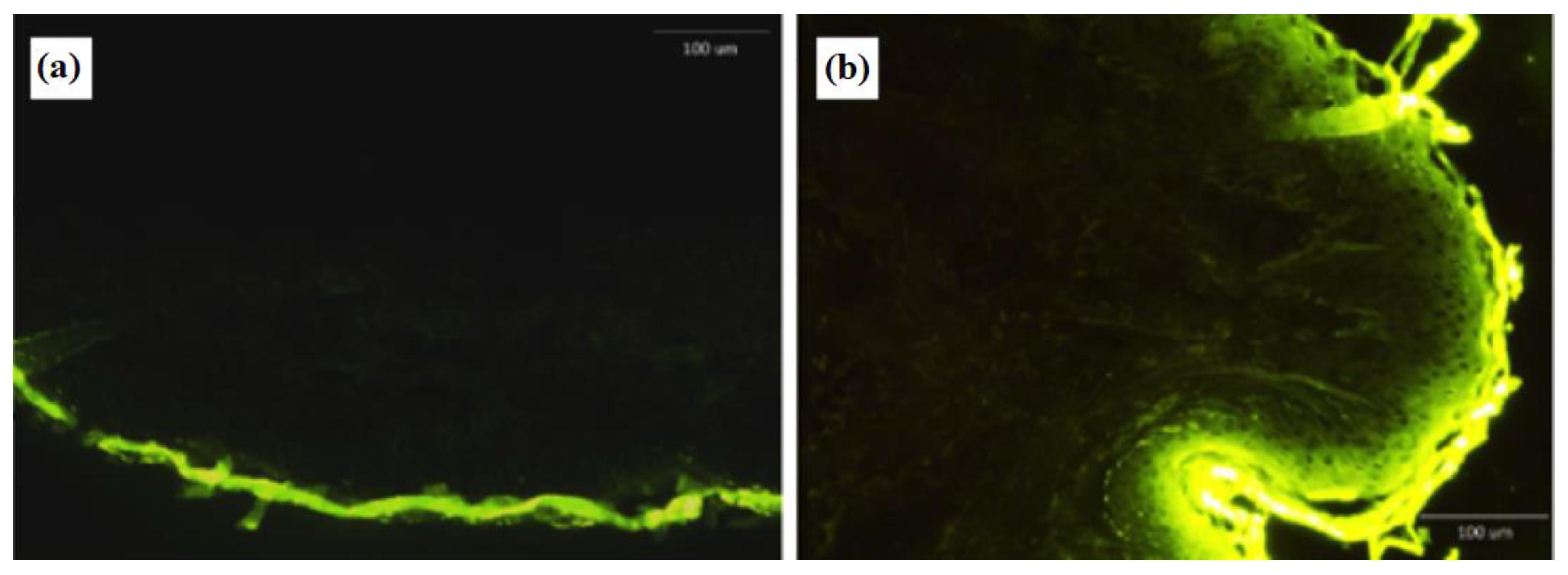 Pharmaceutics 14 00726 g006 550