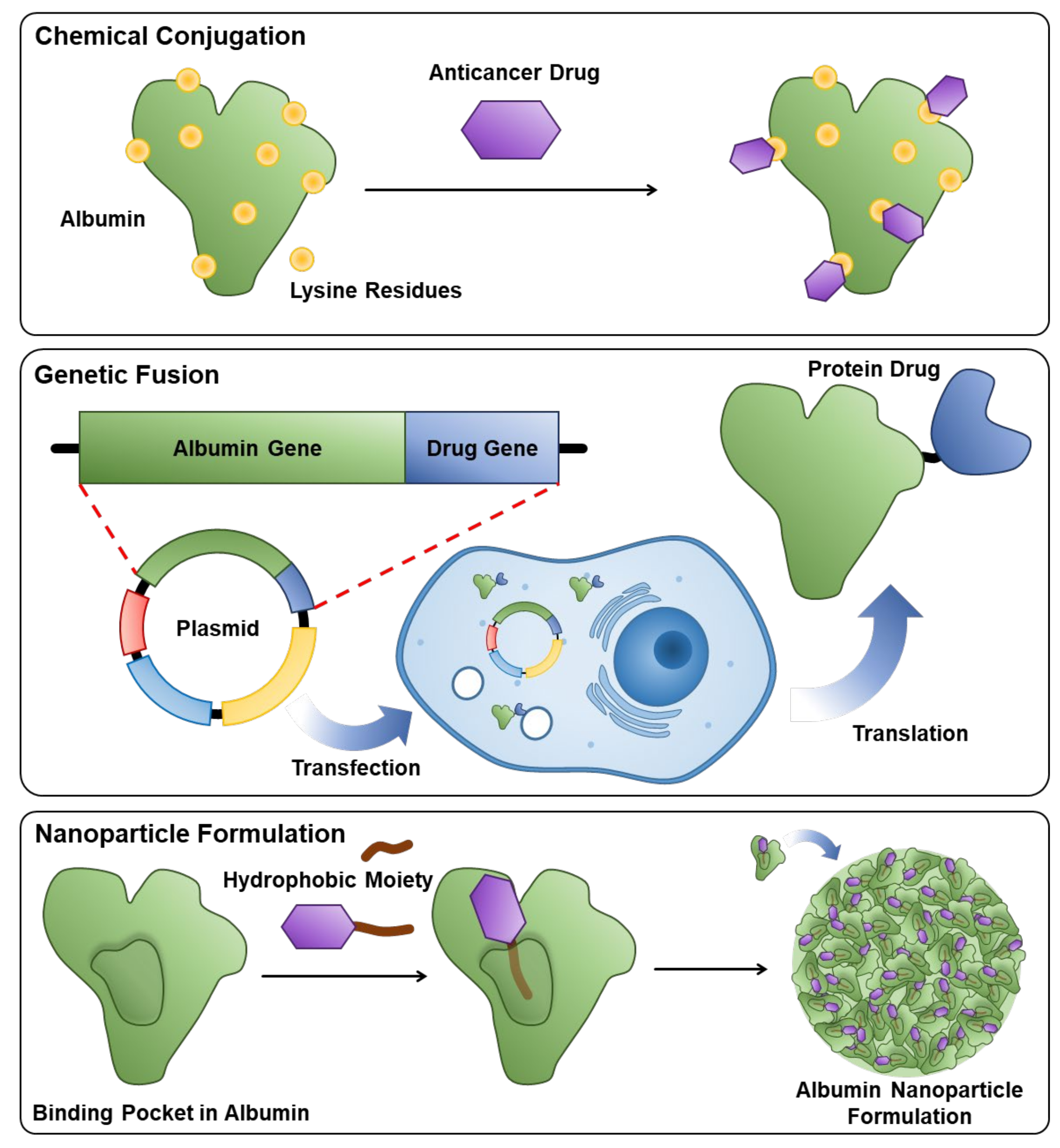 Pharmaceutics 14 00728 g001 Pharmaceutics 14 00728 g001