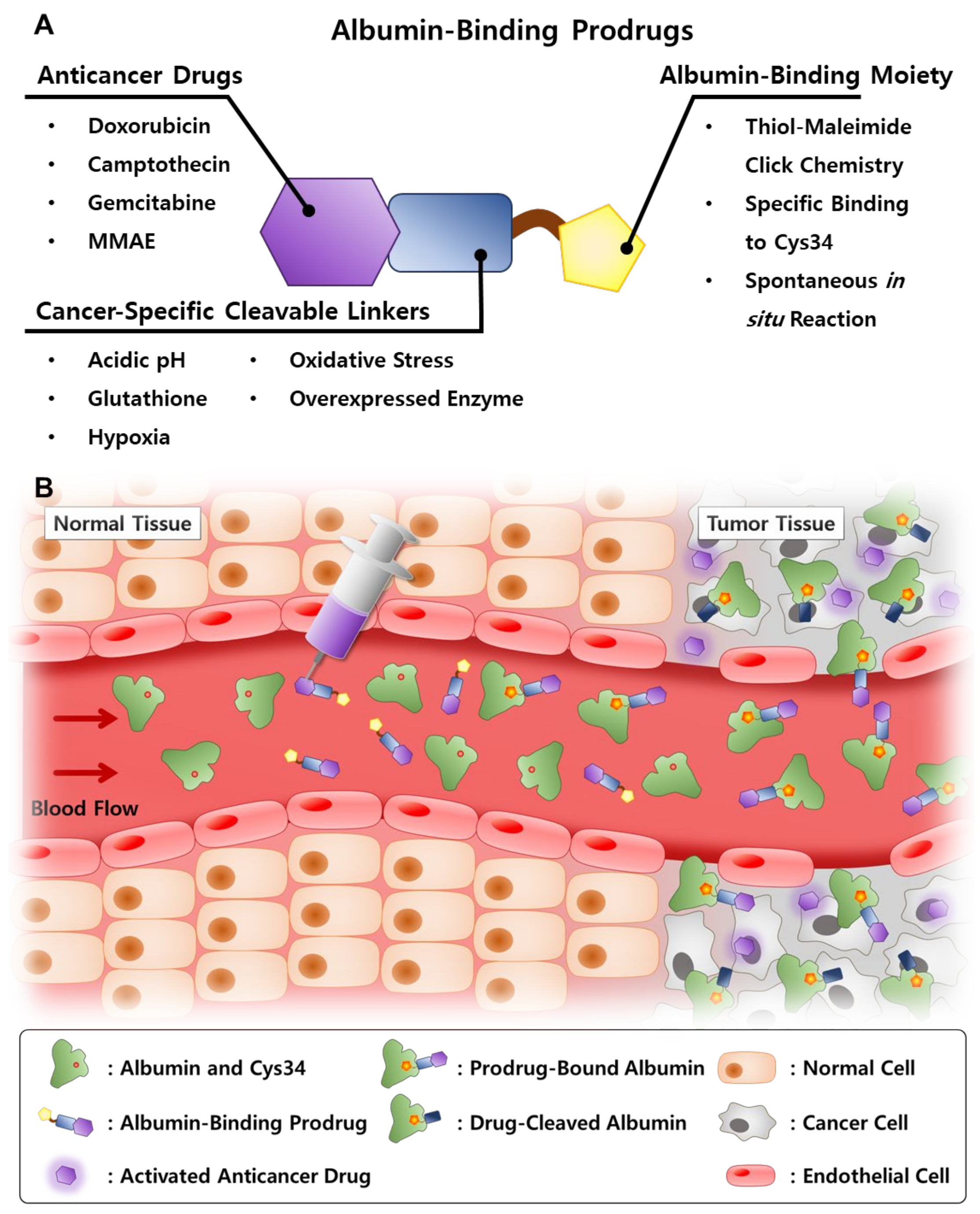 Pharmaceutics 14 00728 g002 Pharmaceutics 14 00728 g002