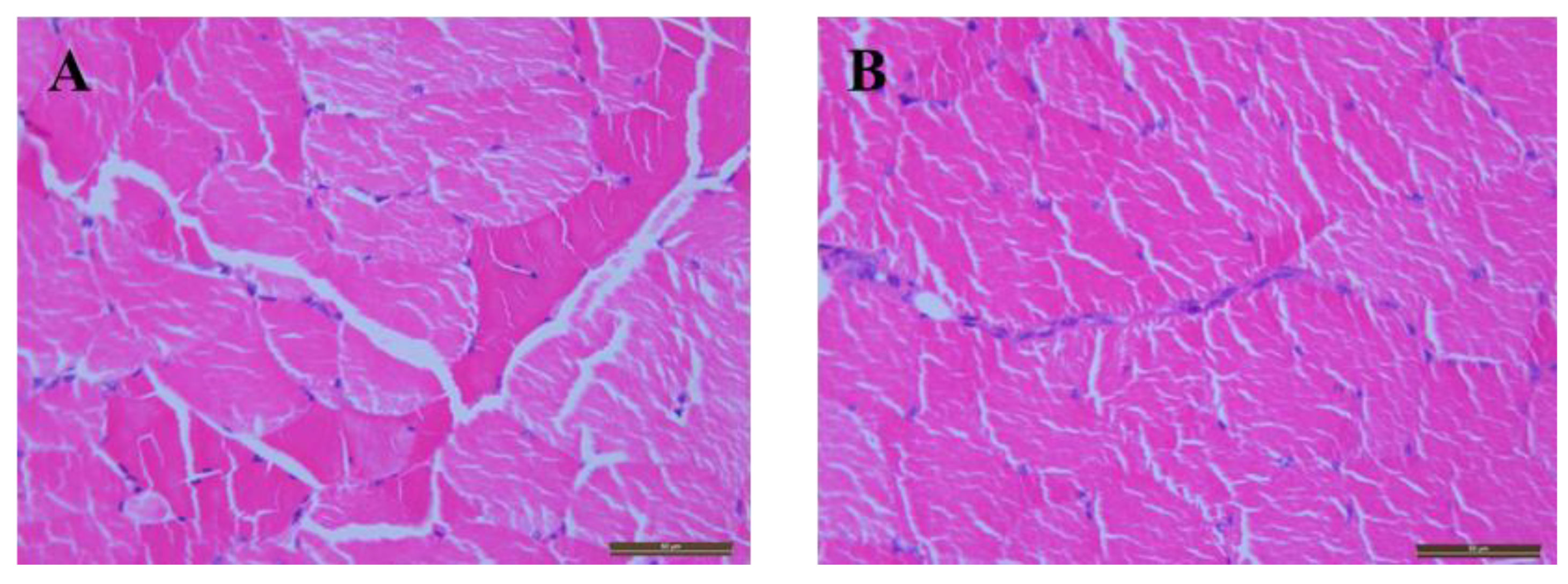 Pharmaceutics 14 00730 g0a2