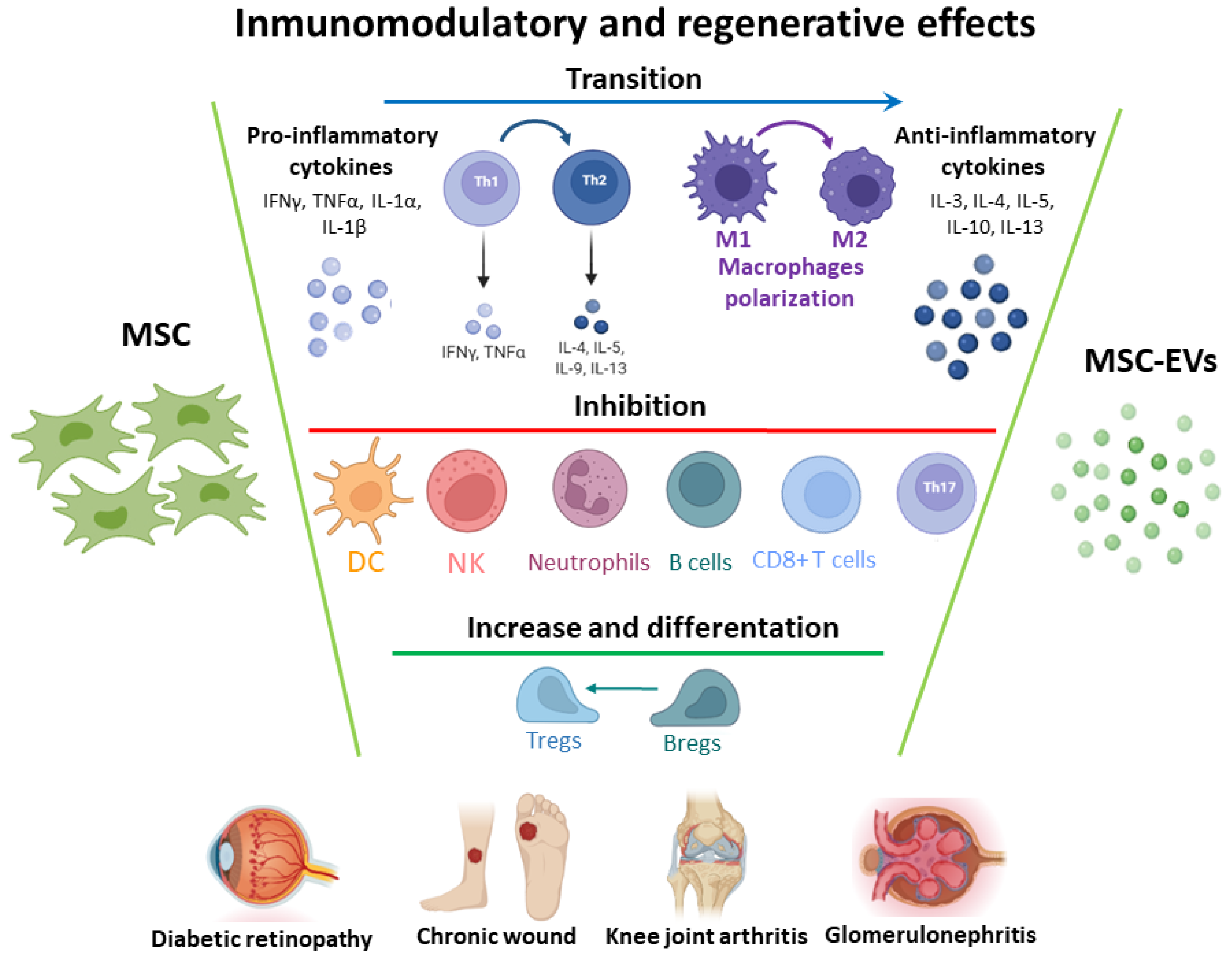 Mesenchymal stromal/stem cell-derived extracellular vesicles in tissue  repair: challenges and opportunities. - Abstract - Europe PMC