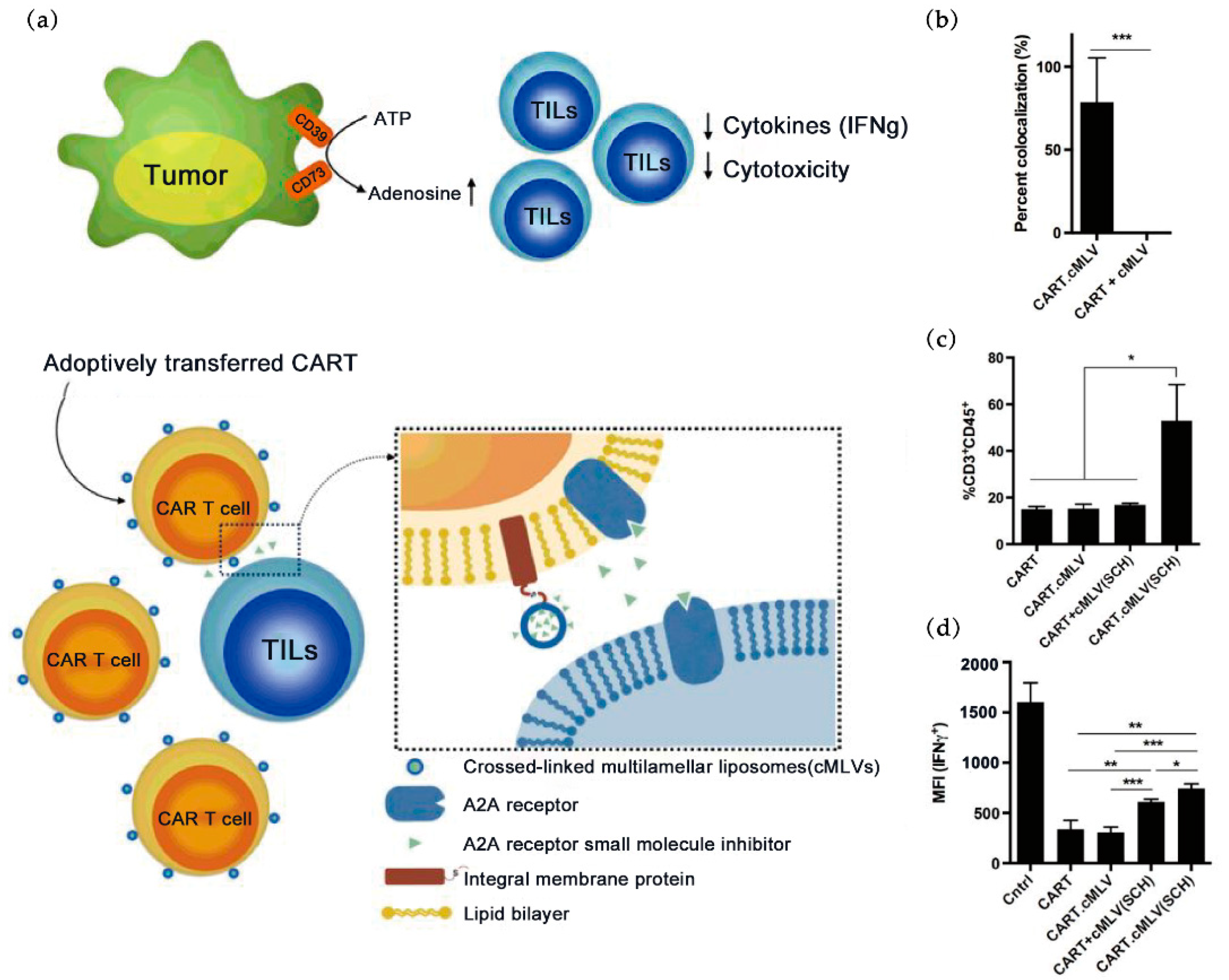Pharmaceutics 14 00734 g003 550