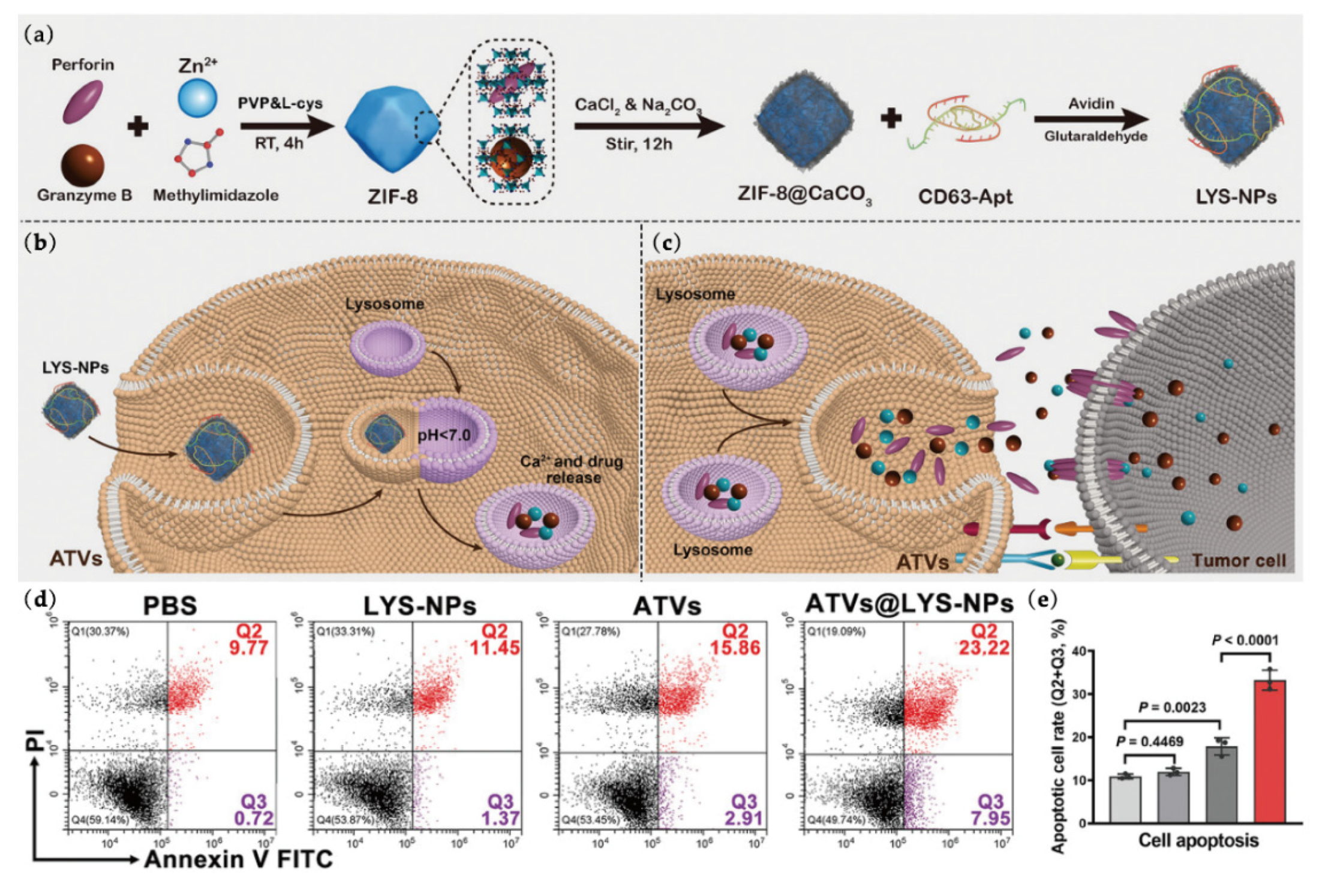Pharmaceutics 14 00734 g004 550