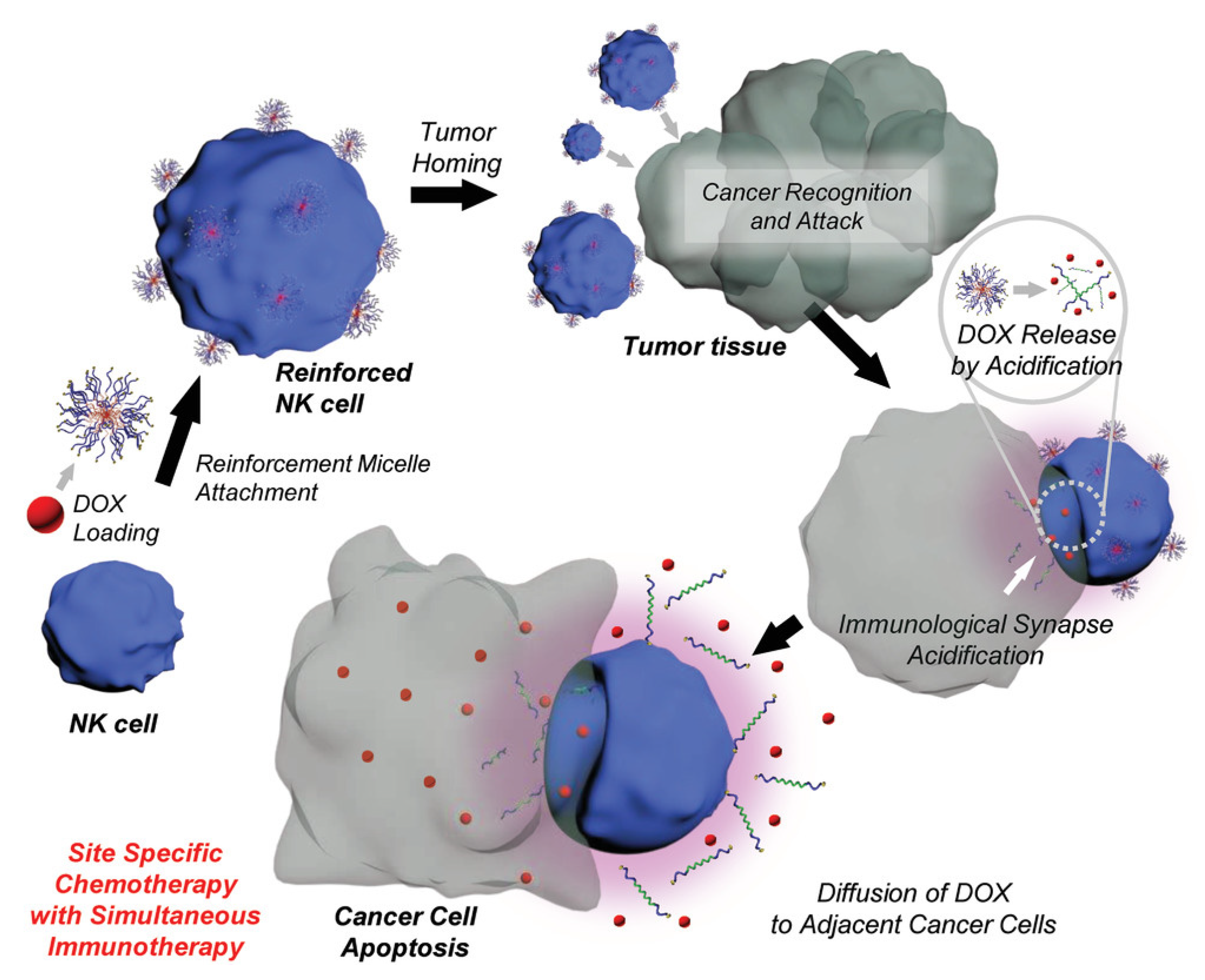 Pharmaceutics 14 00734 g005 550