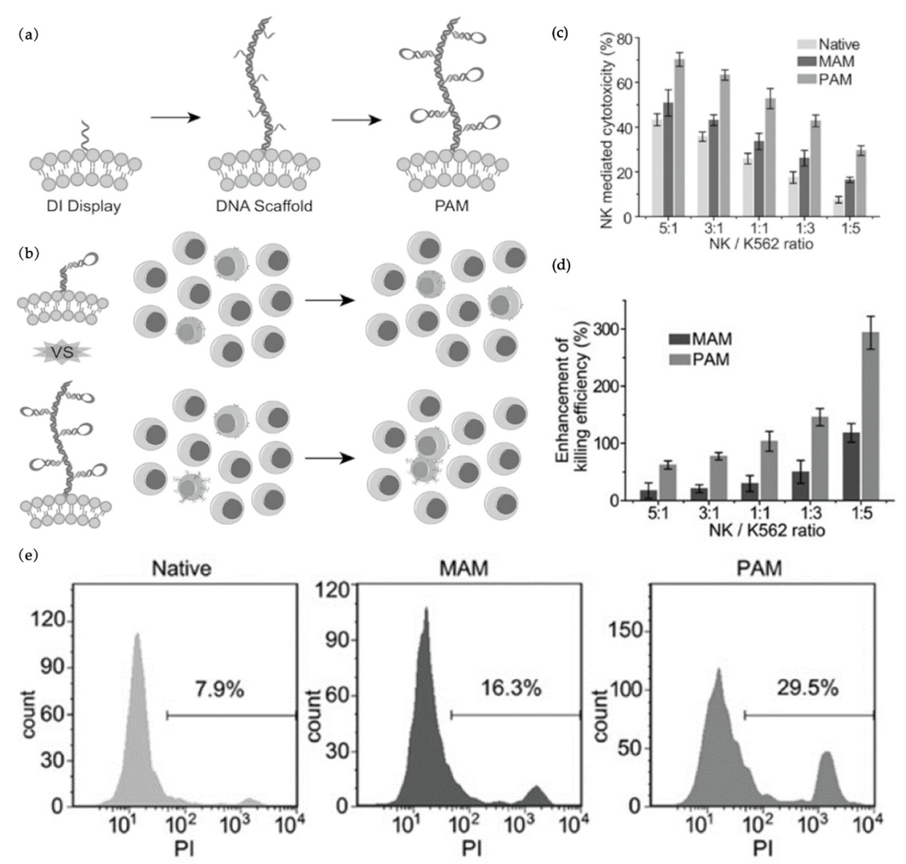 Pharmaceutics 14 00734 g006 550