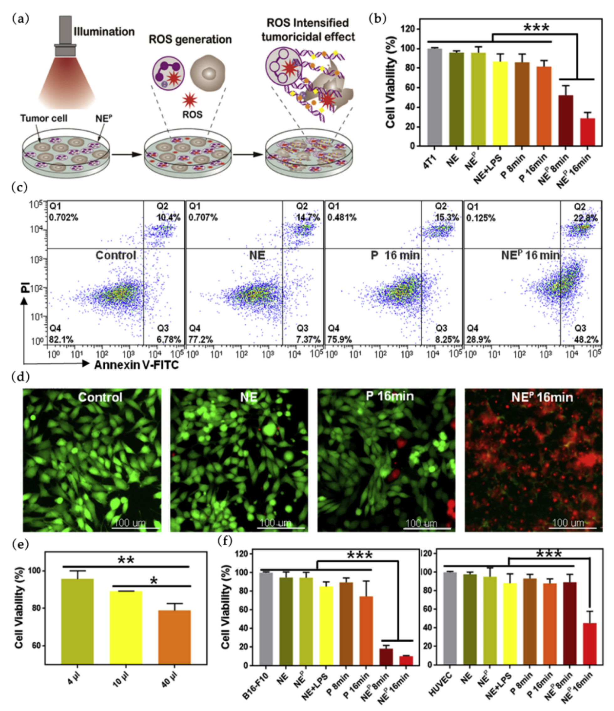 Pharmaceutics 14 00734 g008 550