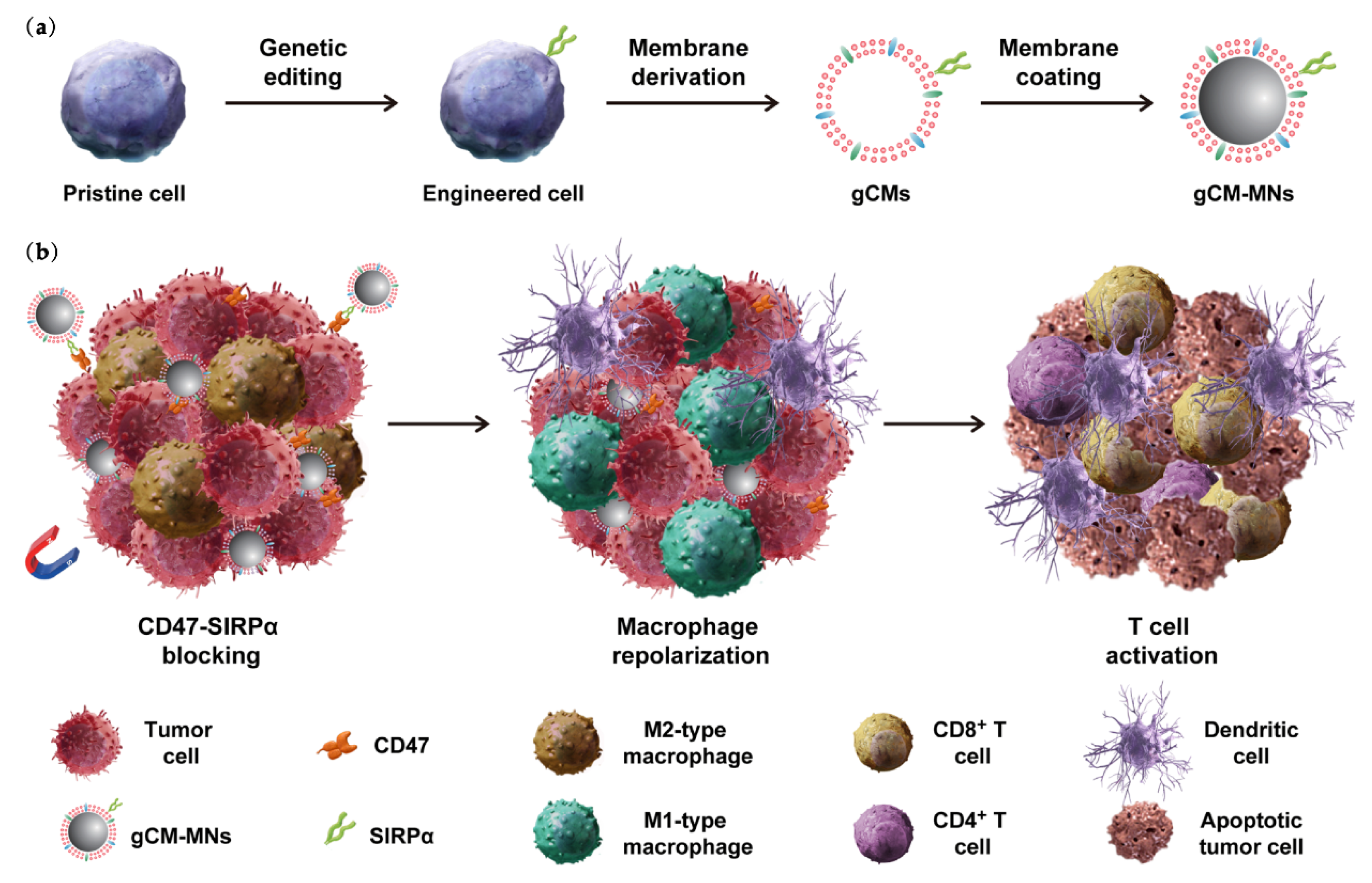 Pharmaceutics 14 00734 g009 550