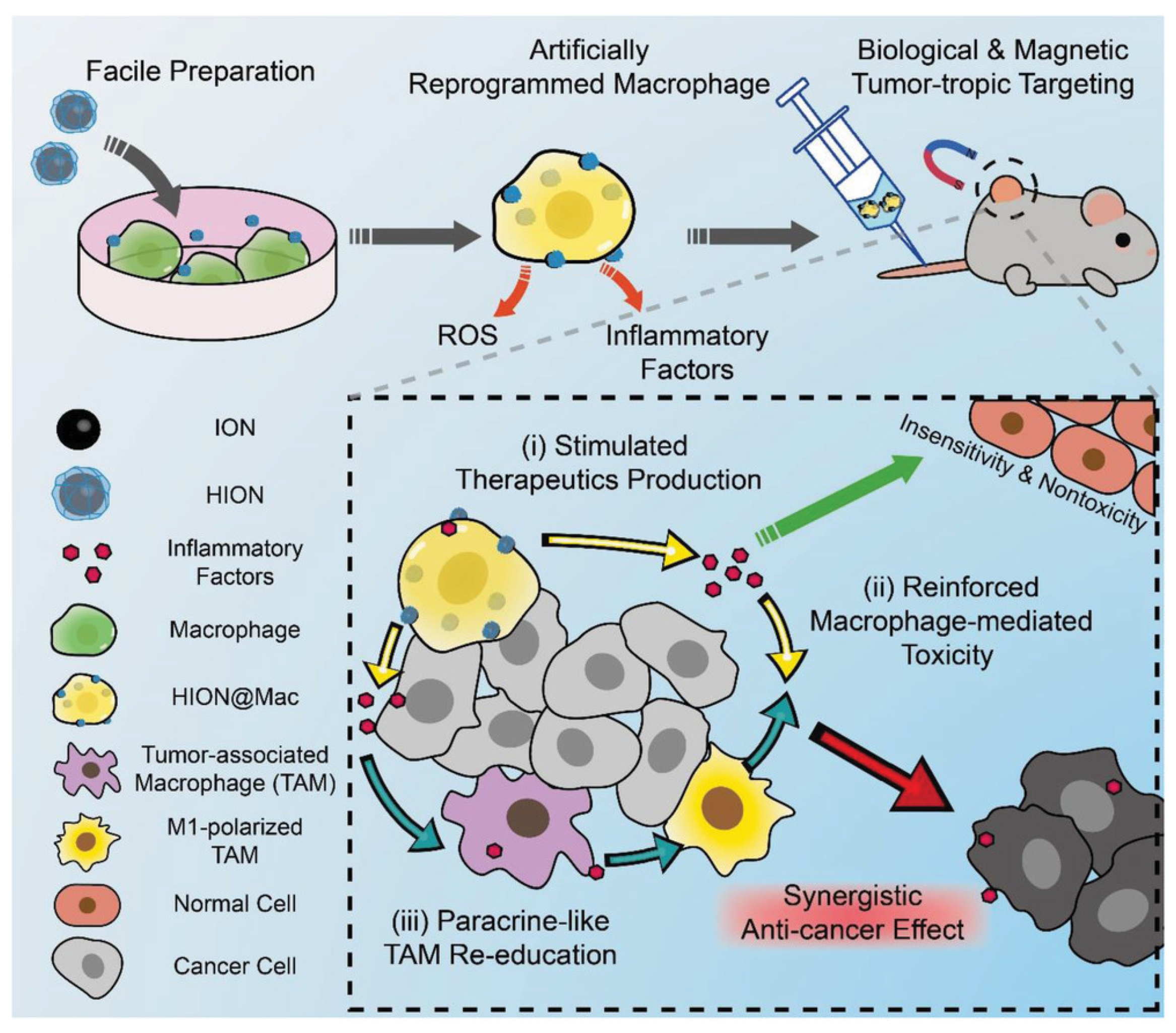 Pharmaceutics 14 00734 g010 550