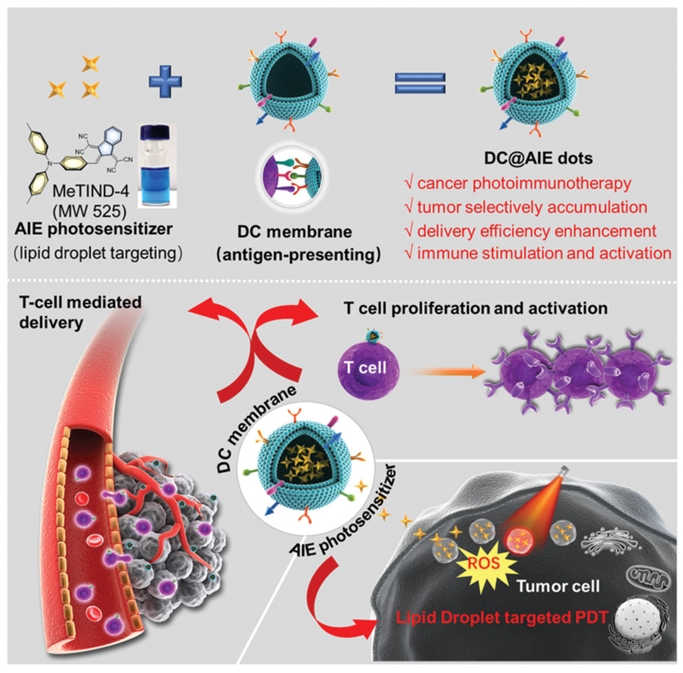 Pharmaceutics 14 00734 g011 550