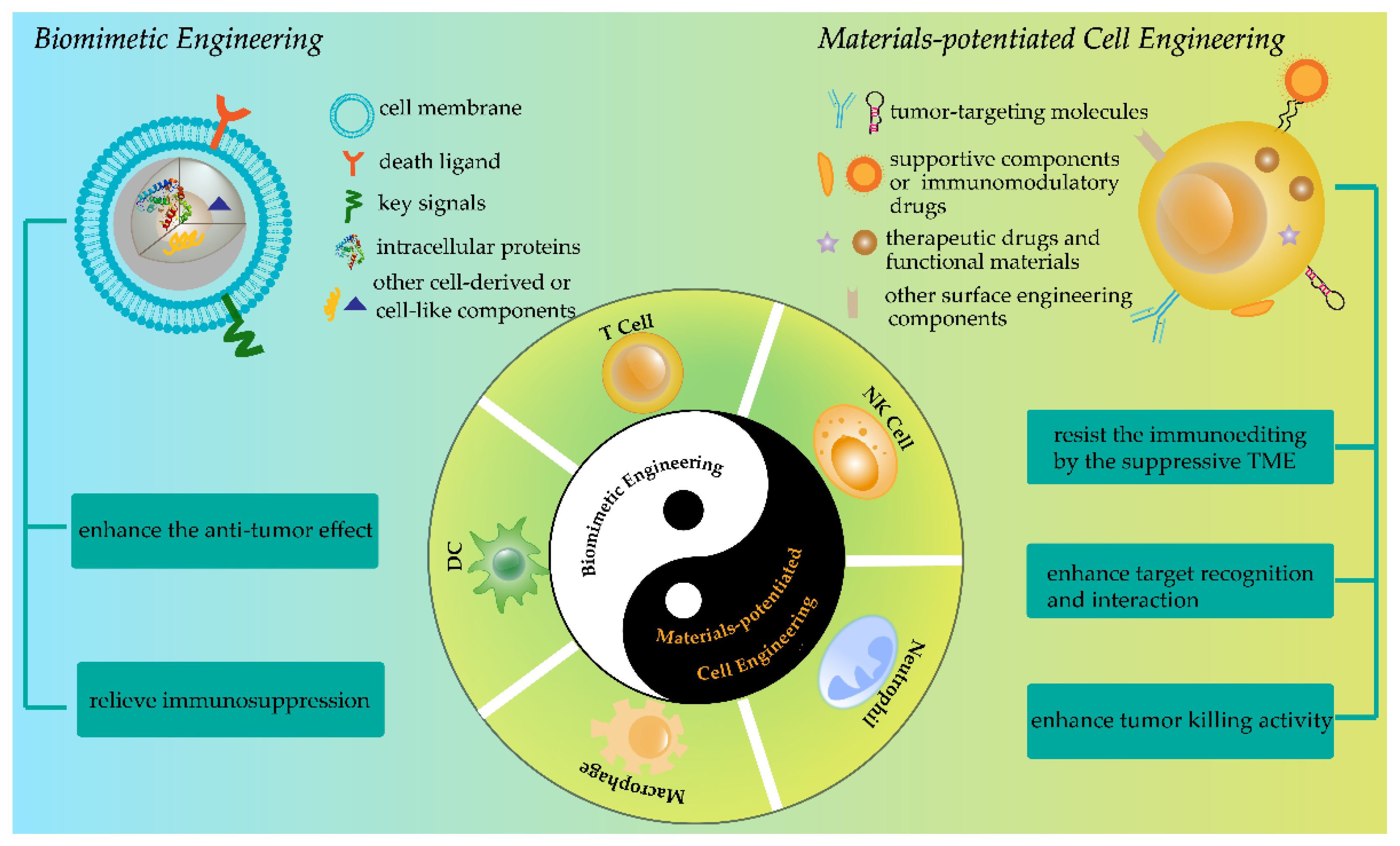 Pharmaceutics 14 00734 sch001 550