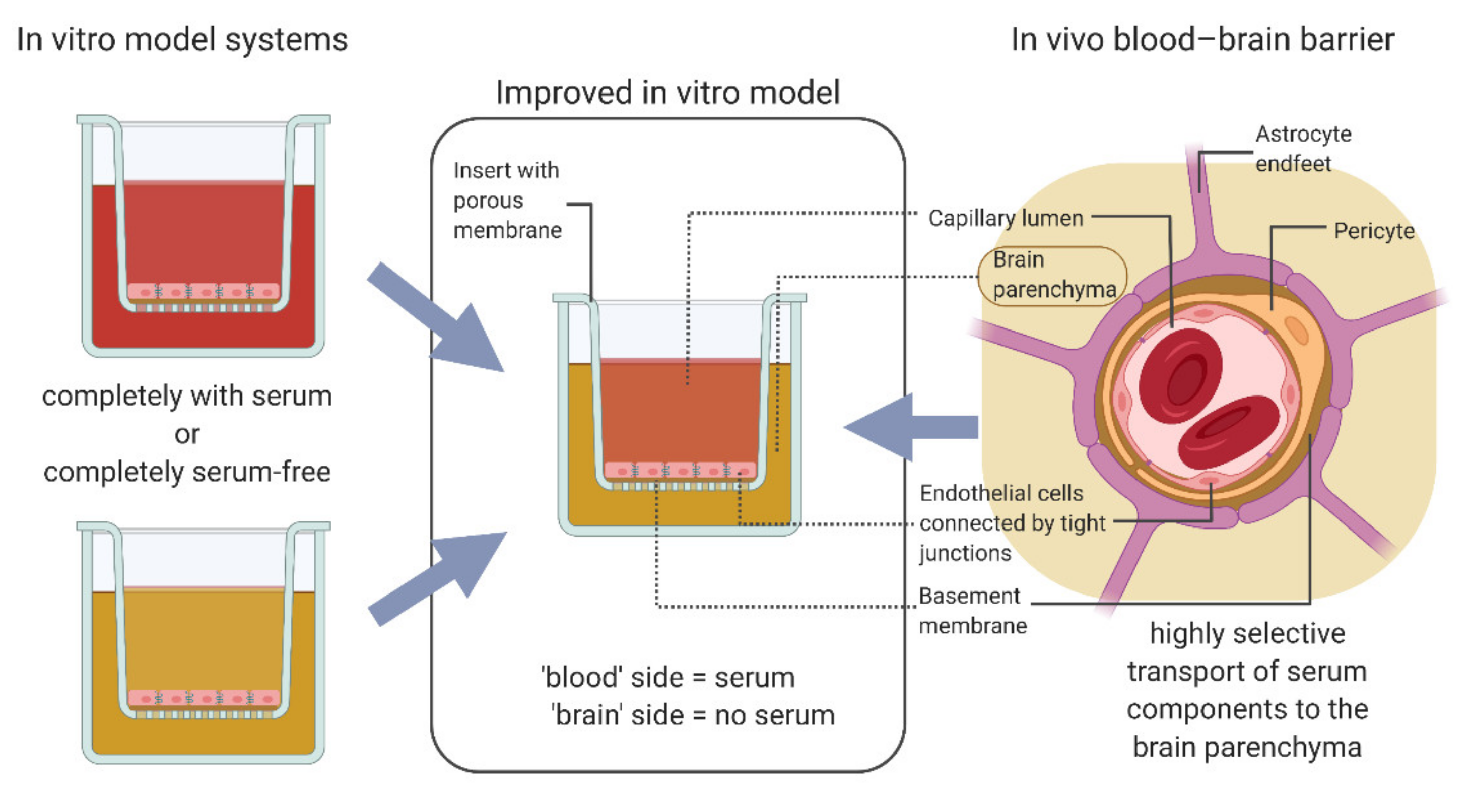 Pharmaceutics 14 00737 g001