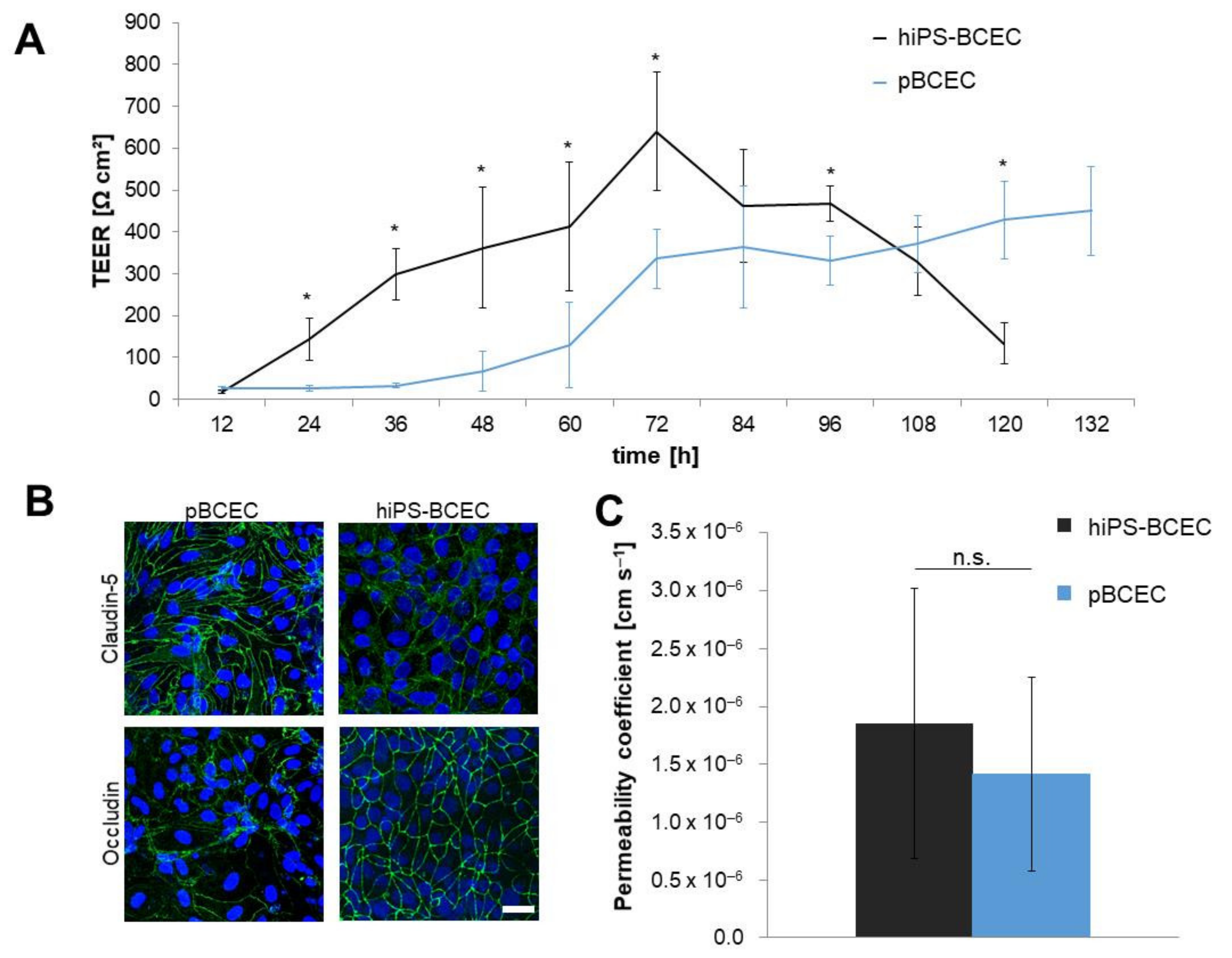 Pharmaceutics 14 00737 g003