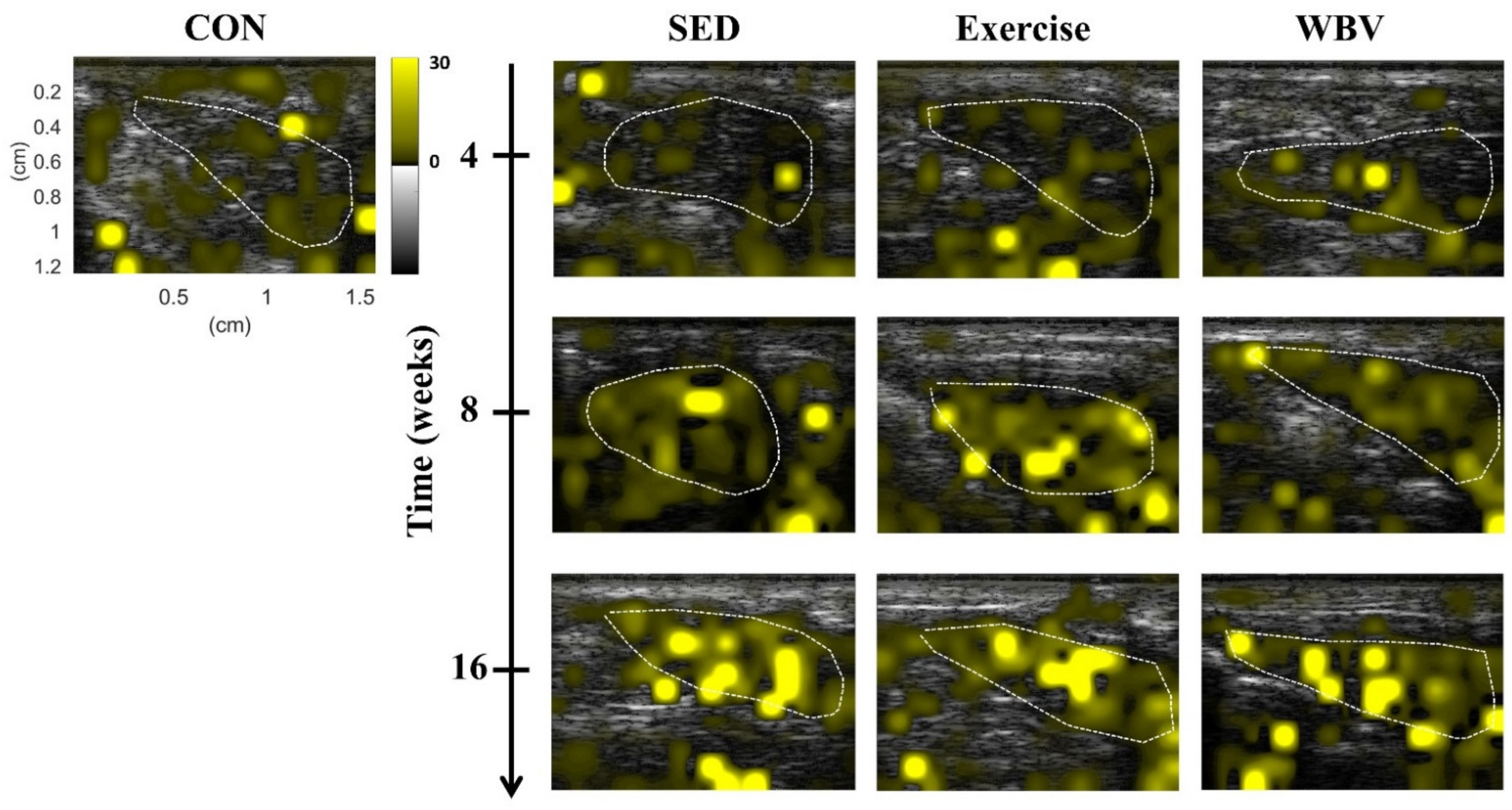 Pharmaceutics 14 00741 g002 Pharmaceutics 14 00741 g002