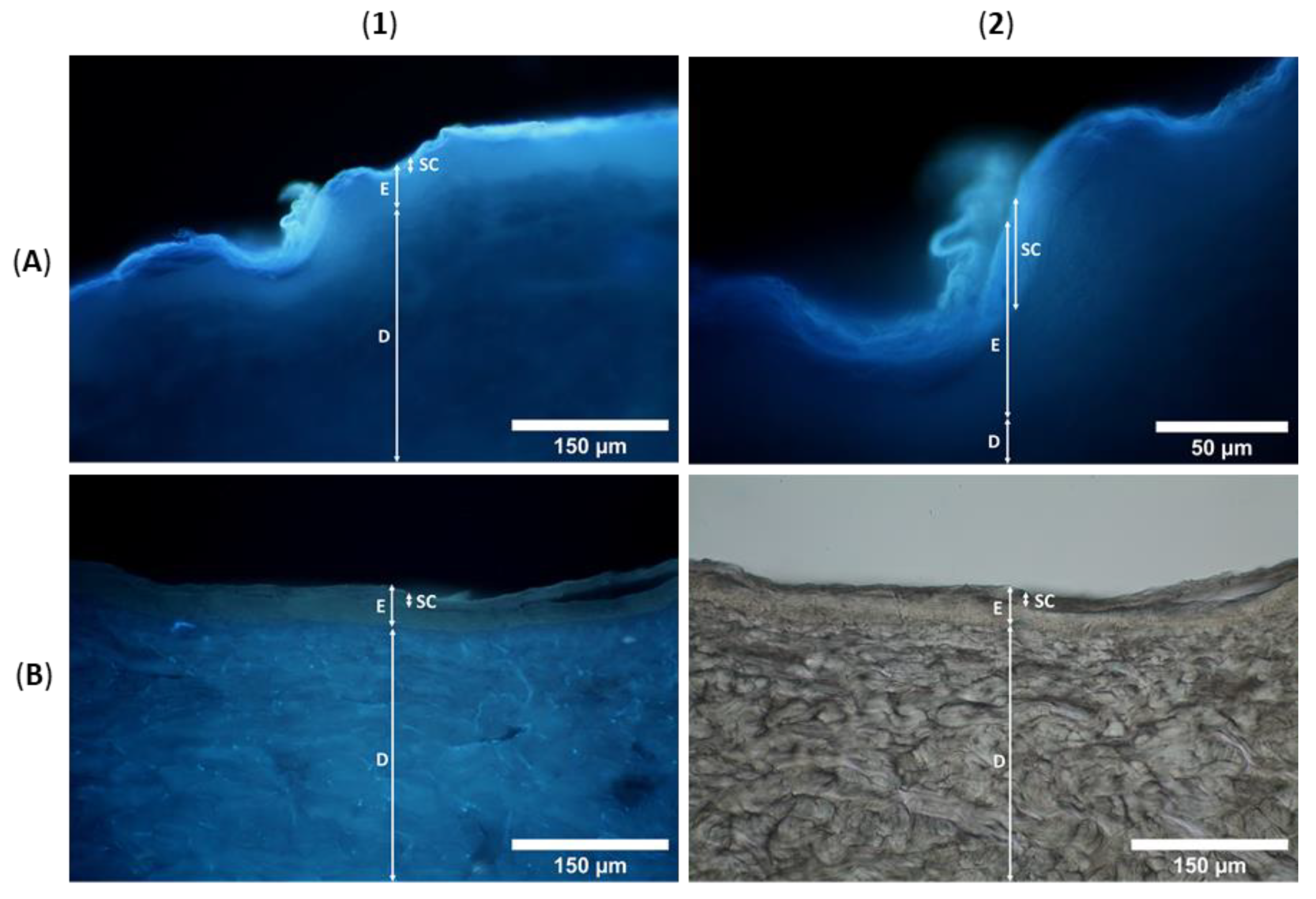 Pharmaceutics 14 00742 g006 Pharmaceutics 14 00742 g006
