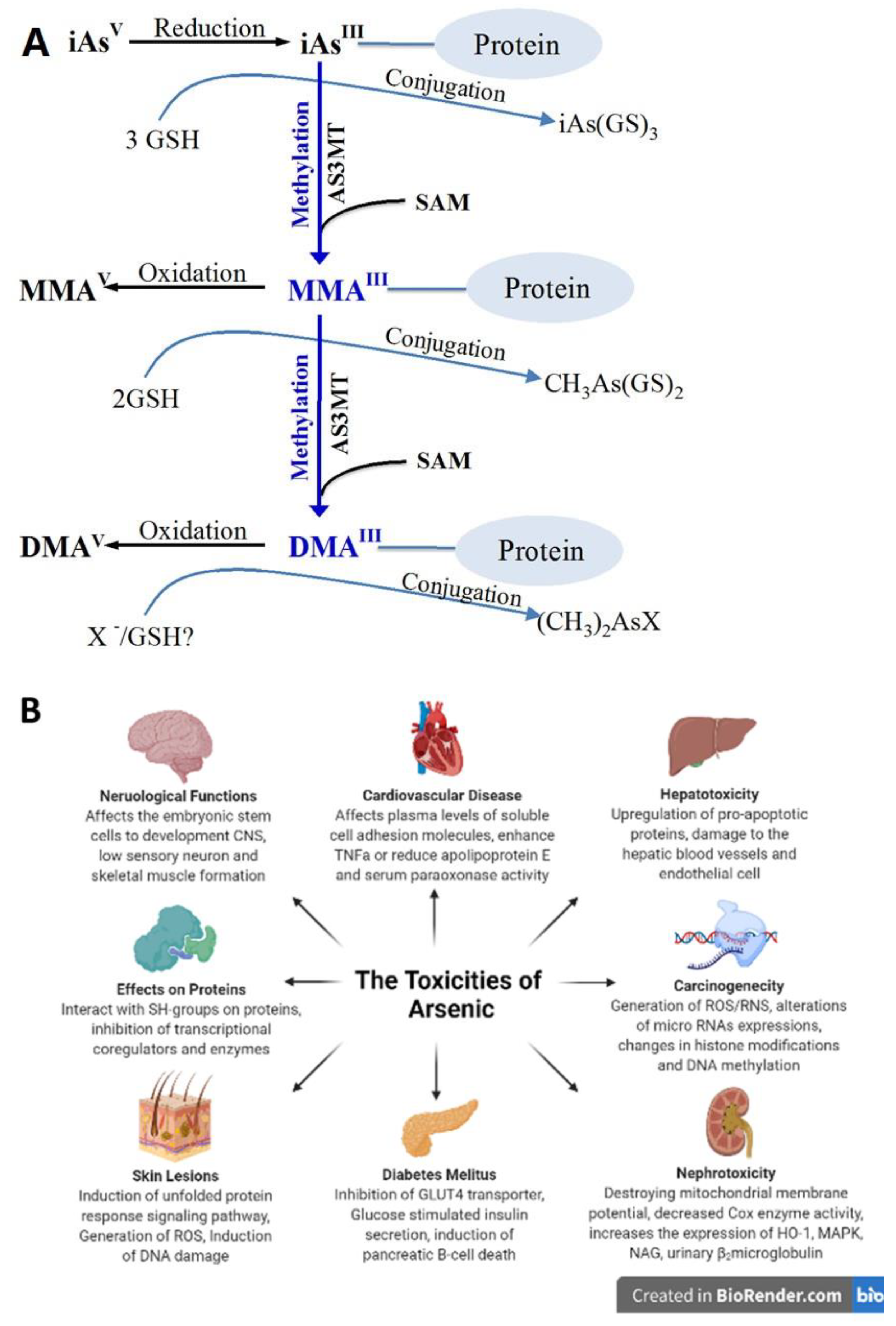 Pharmaceutics 14 00743 g001 Pharmaceutics 14 00743 g001
