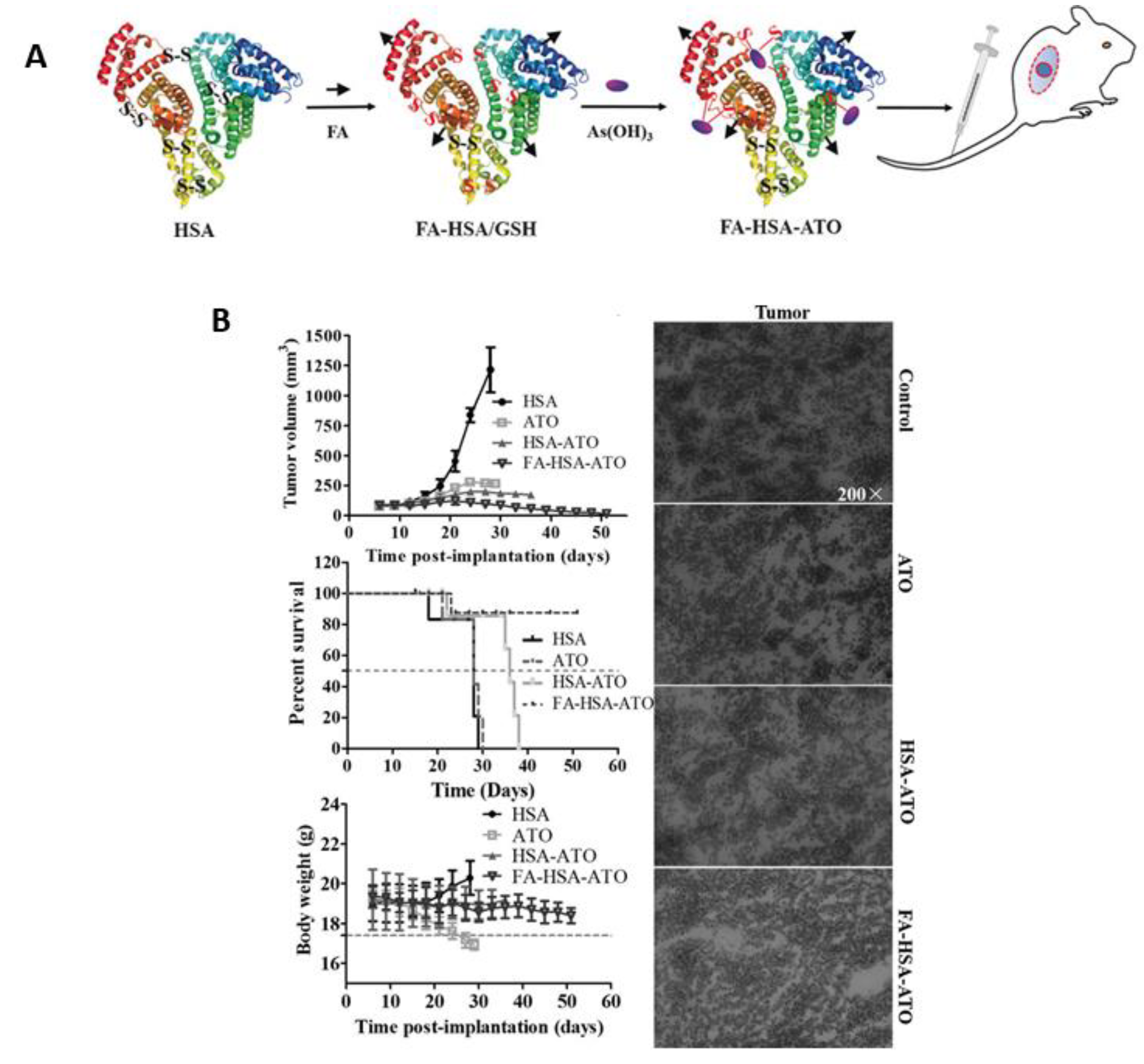 Pharmaceutics 14 00743 g005 Pharmaceutics 14 00743 g005