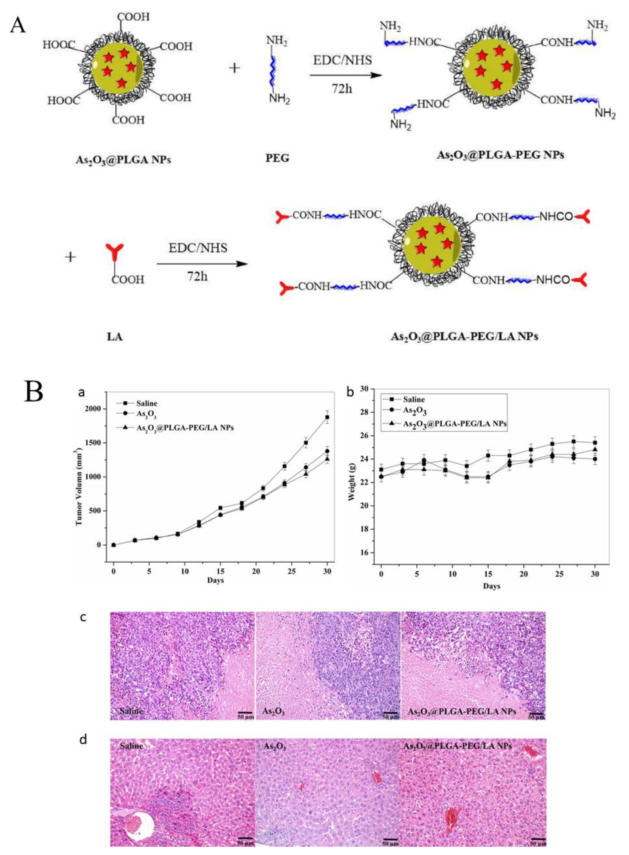 Pharmaceutics 14 00743 g006 Pharmaceutics 14 00743 g006
