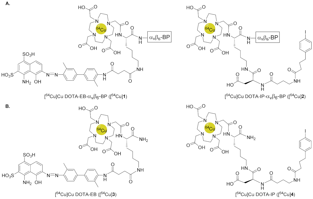 Pharmaceutics 14 00745 g001 550