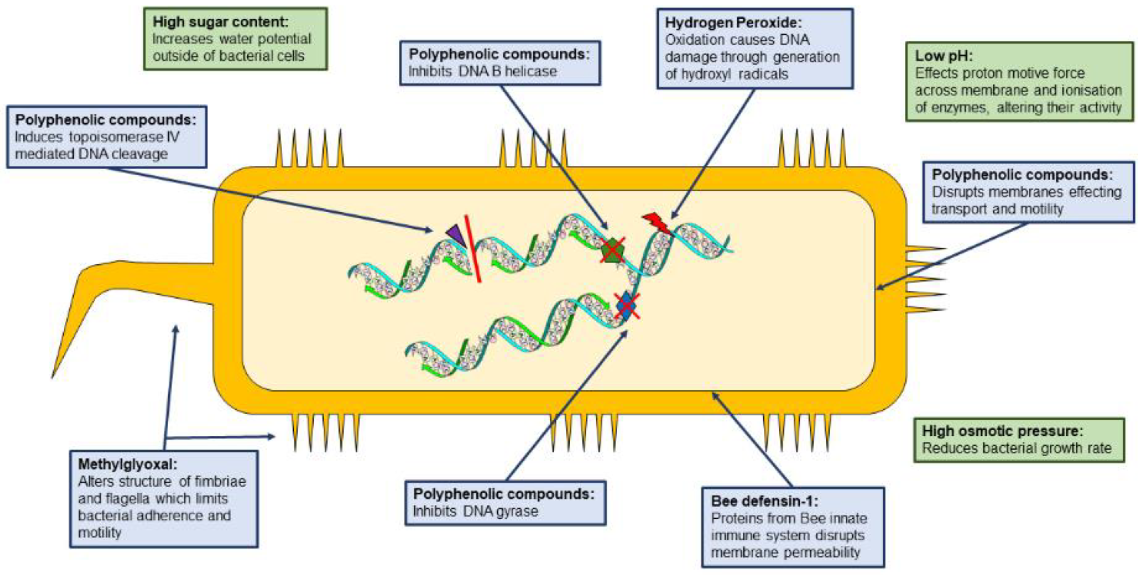 Pharmaceutics 14 00750 g003