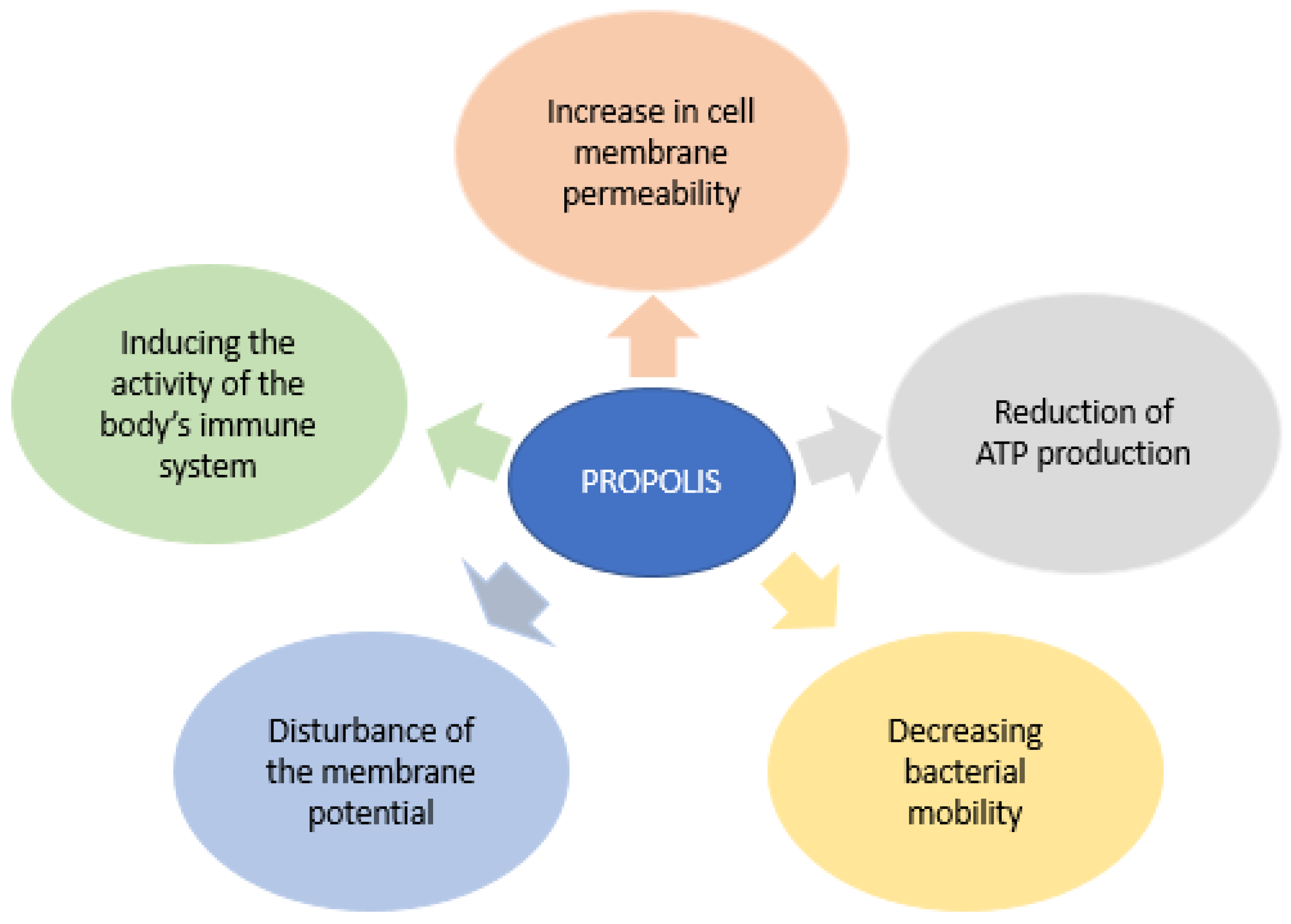Pharmaceutics 14 00750 g005