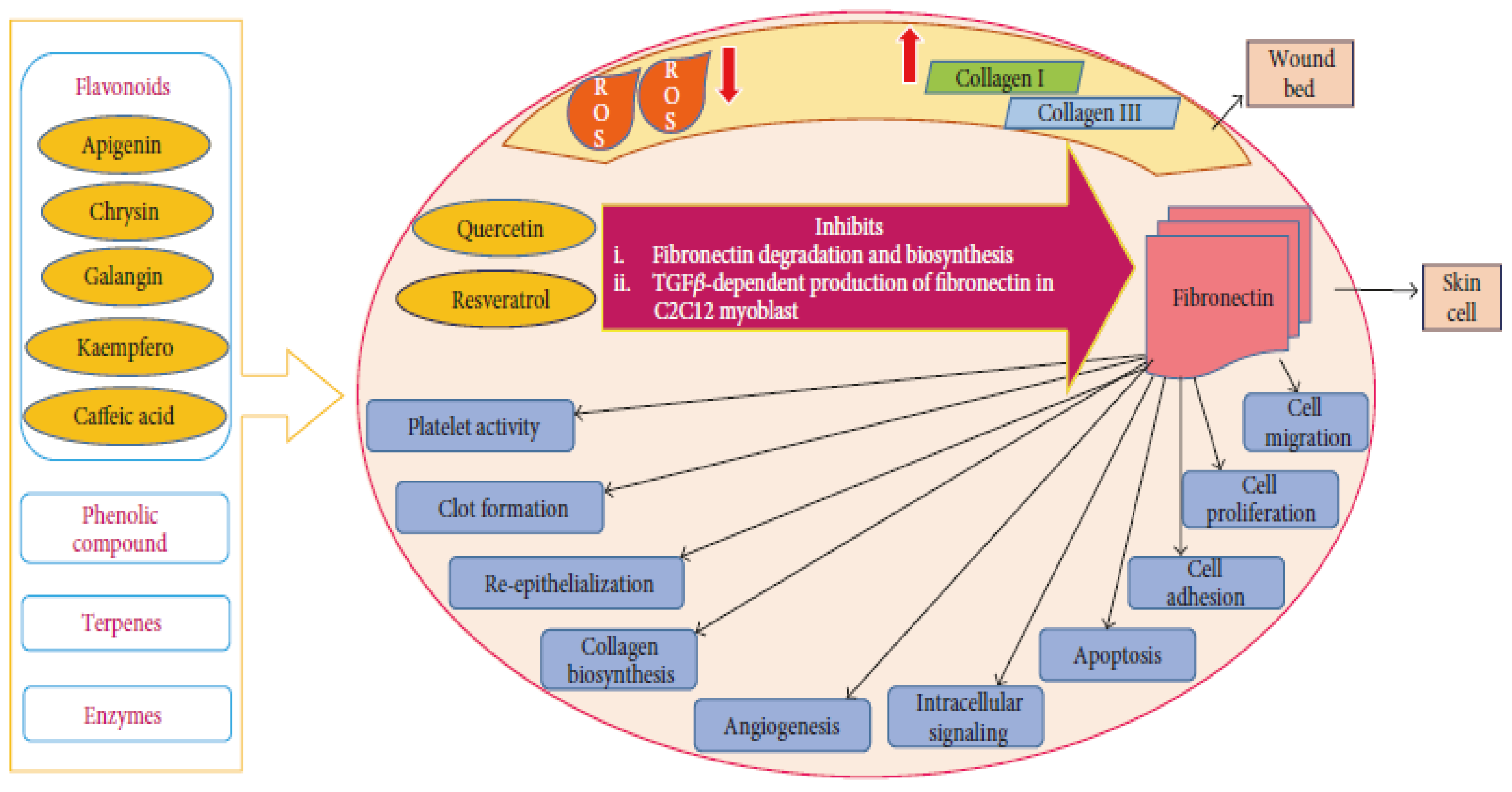 Pharmaceutics 14 00750 g006