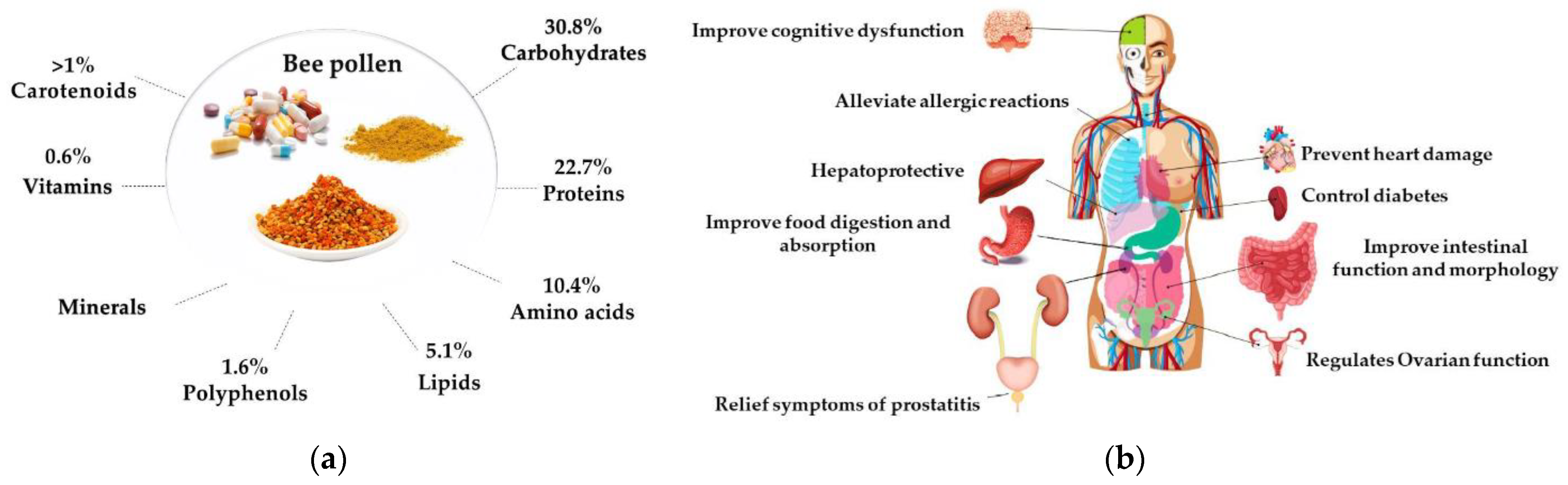 Pharmaceutics 14 00750 g008