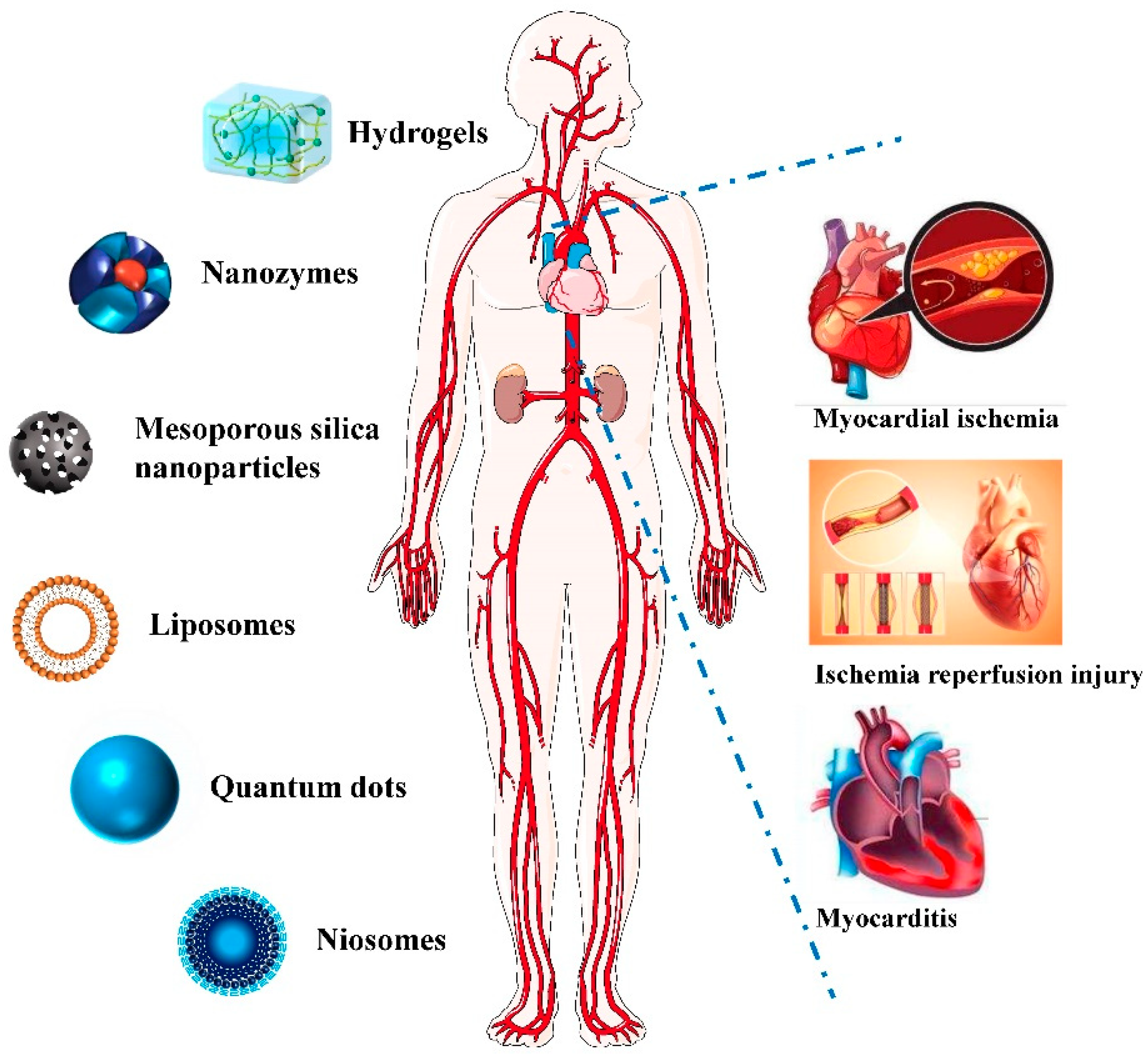 Various nanotechnology-based molecular imaging methods (A) PP/PS@MIONs