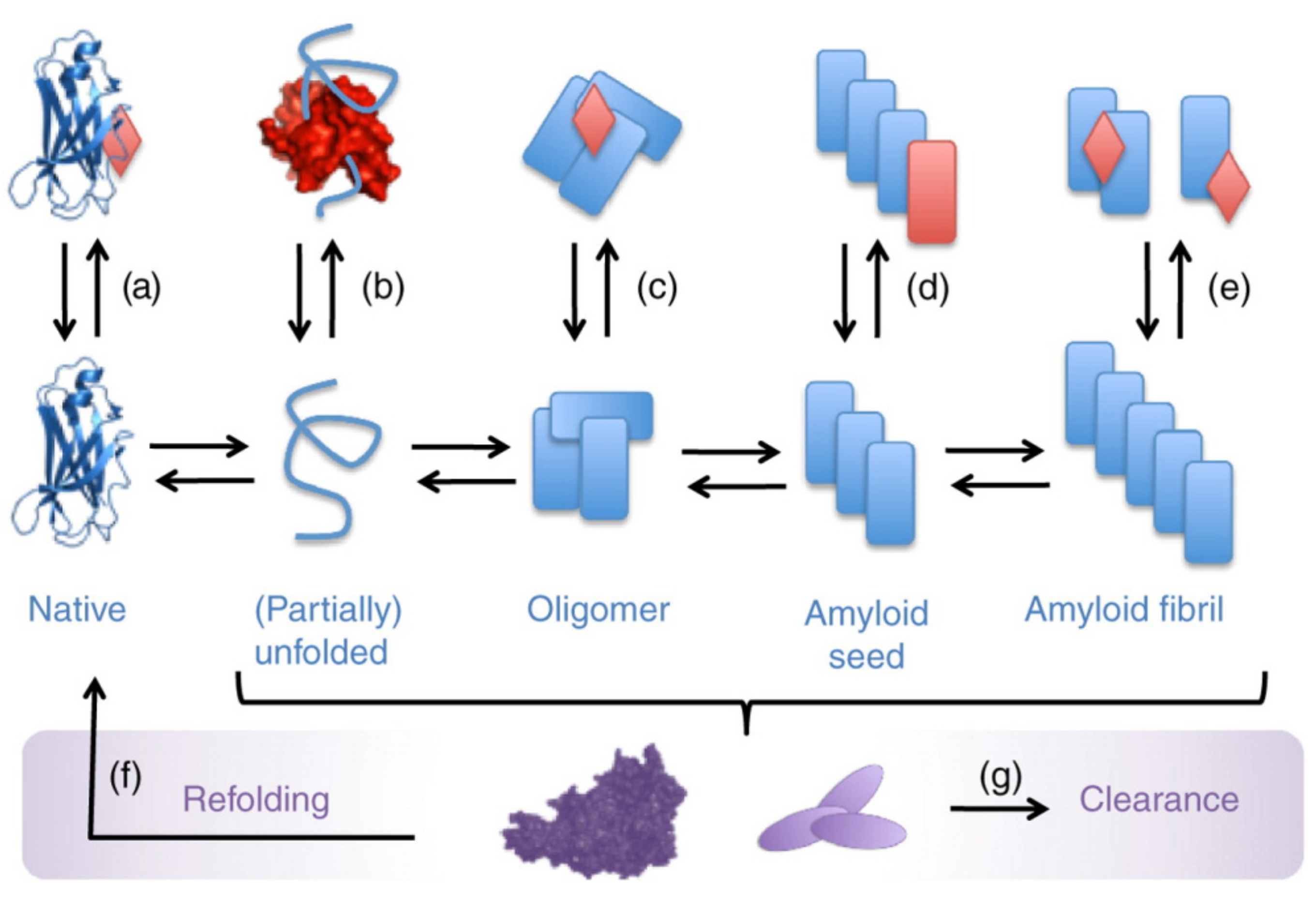 Pharmaceutics 14 00760 g004