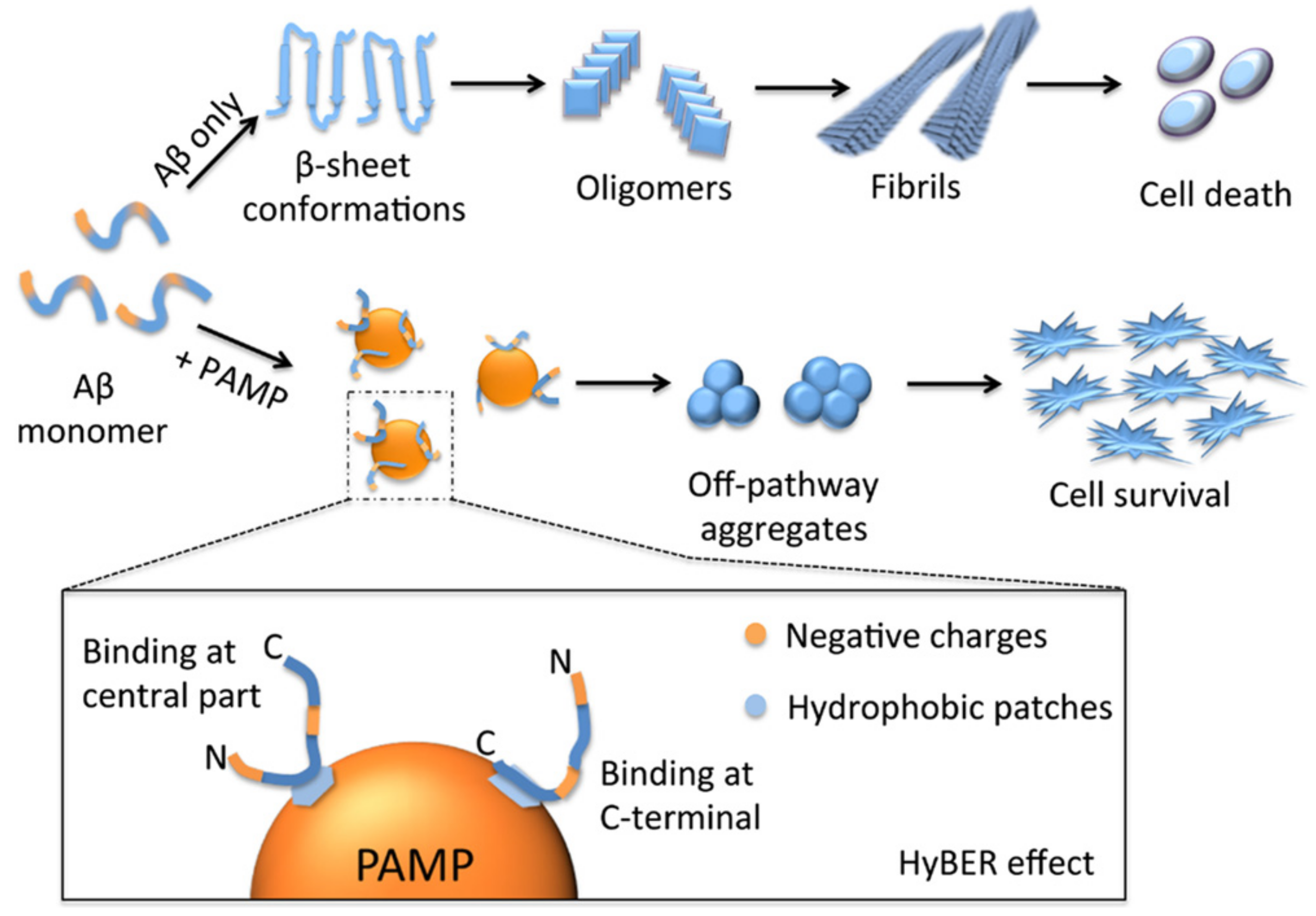 Pharmaceutics 14 00760 g008