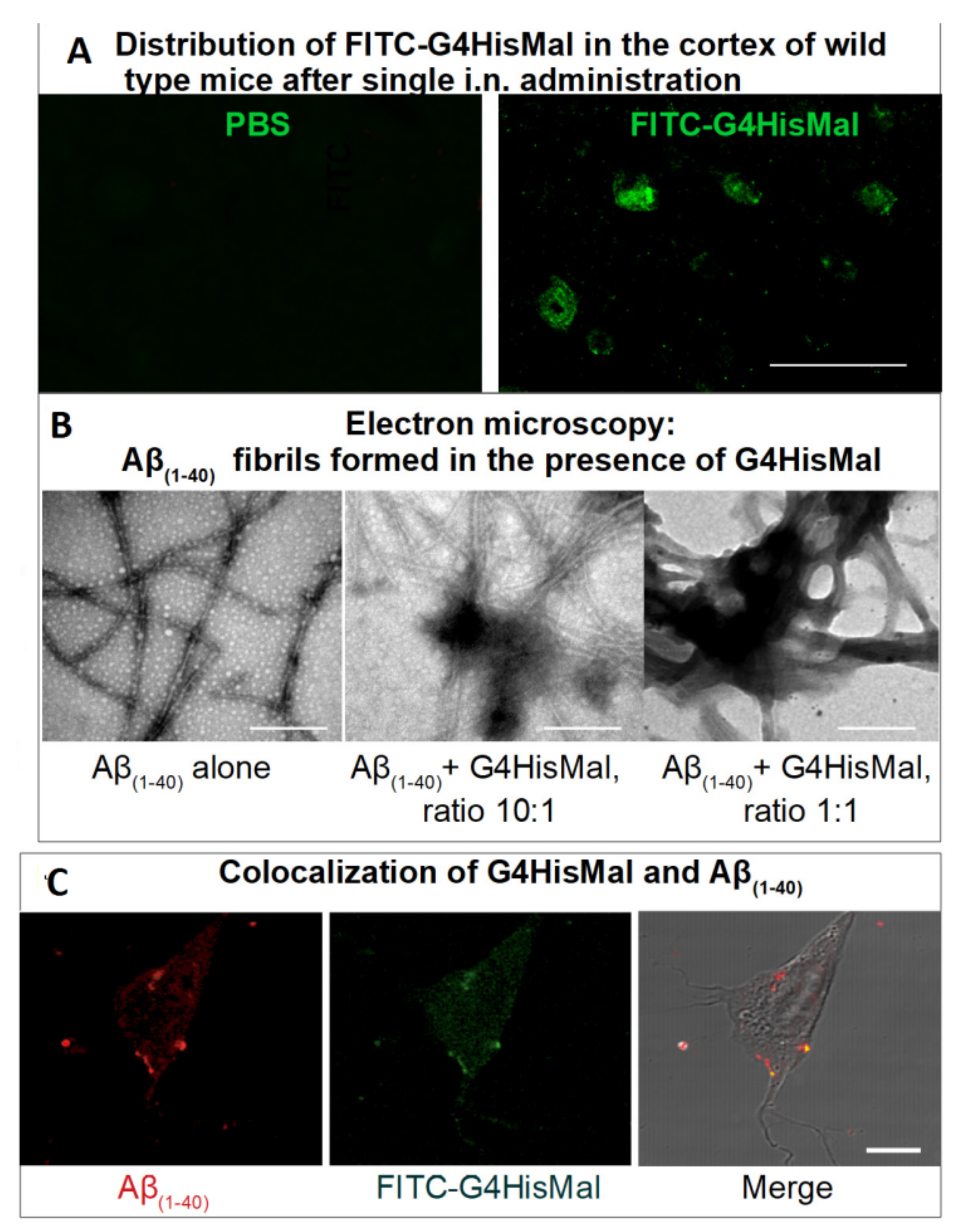 Pharmaceutics 14 00760 g011