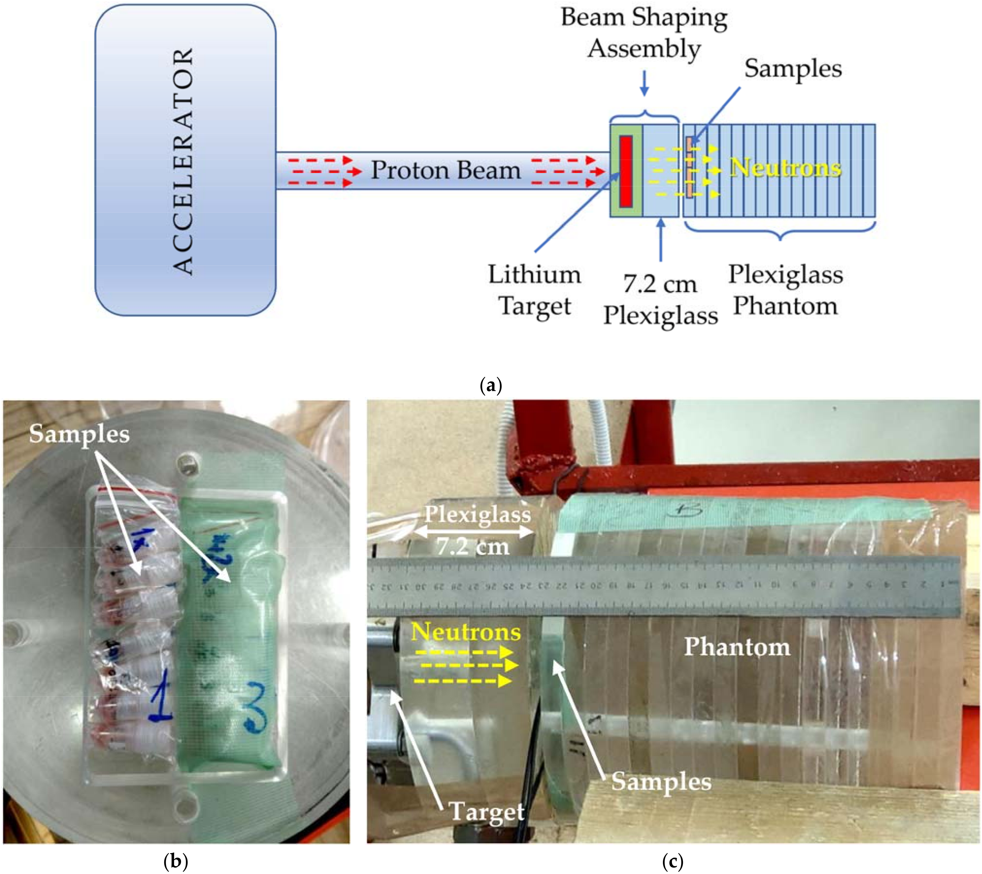 Pharmaceutics 14 00761 g002