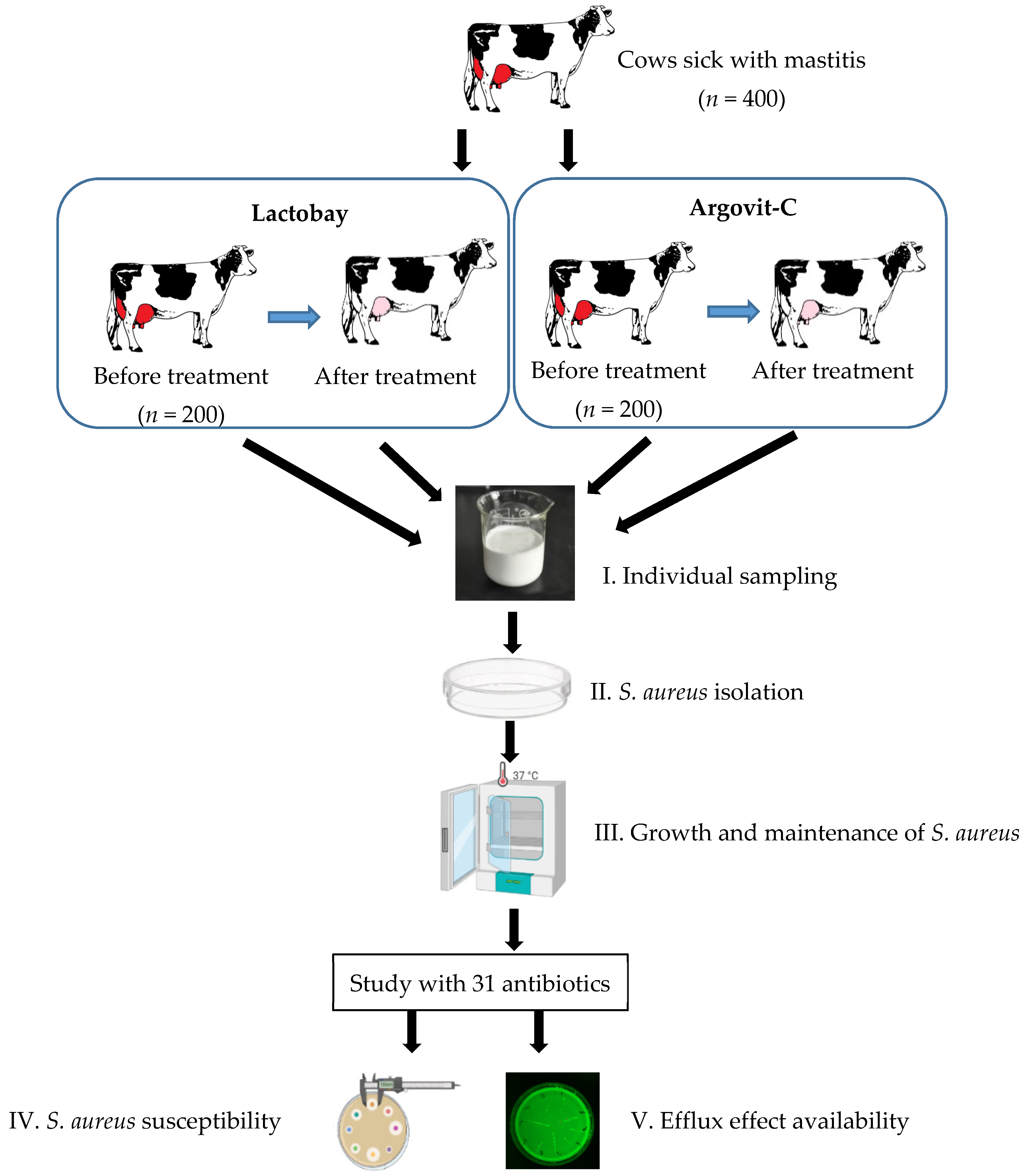 Pharmaceutics 14 00763 g001