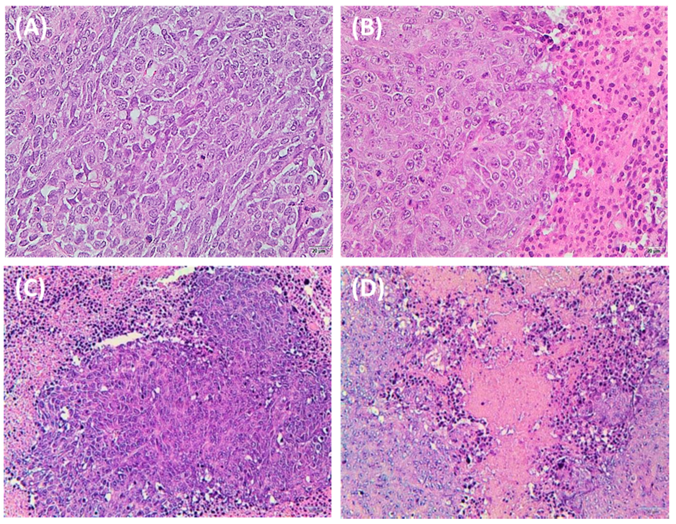 Pharmaceutics 14 00768 g007 Pharmaceutics 14 00768 g007