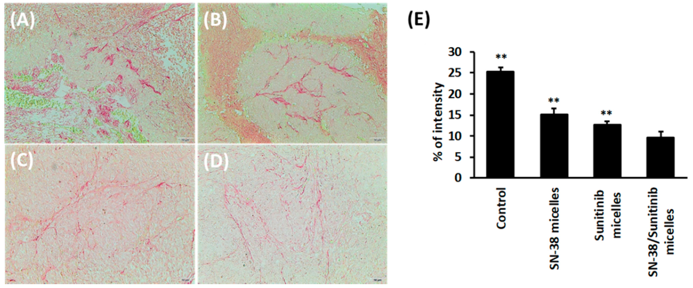 Pharmaceutics 14 00768 g009 Pharmaceutics 14 00768 g009