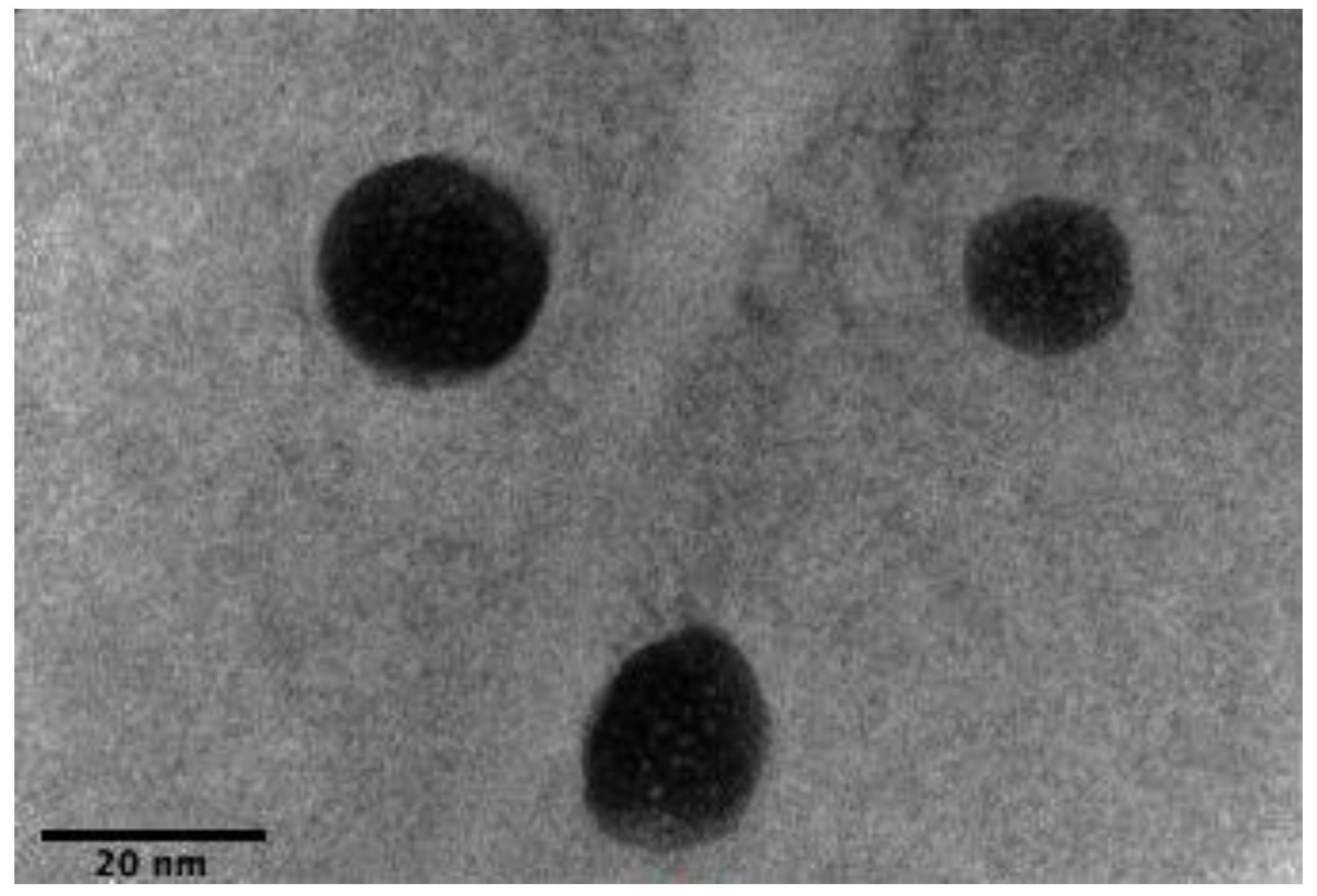 Pharmaceutics 14 00772 g004