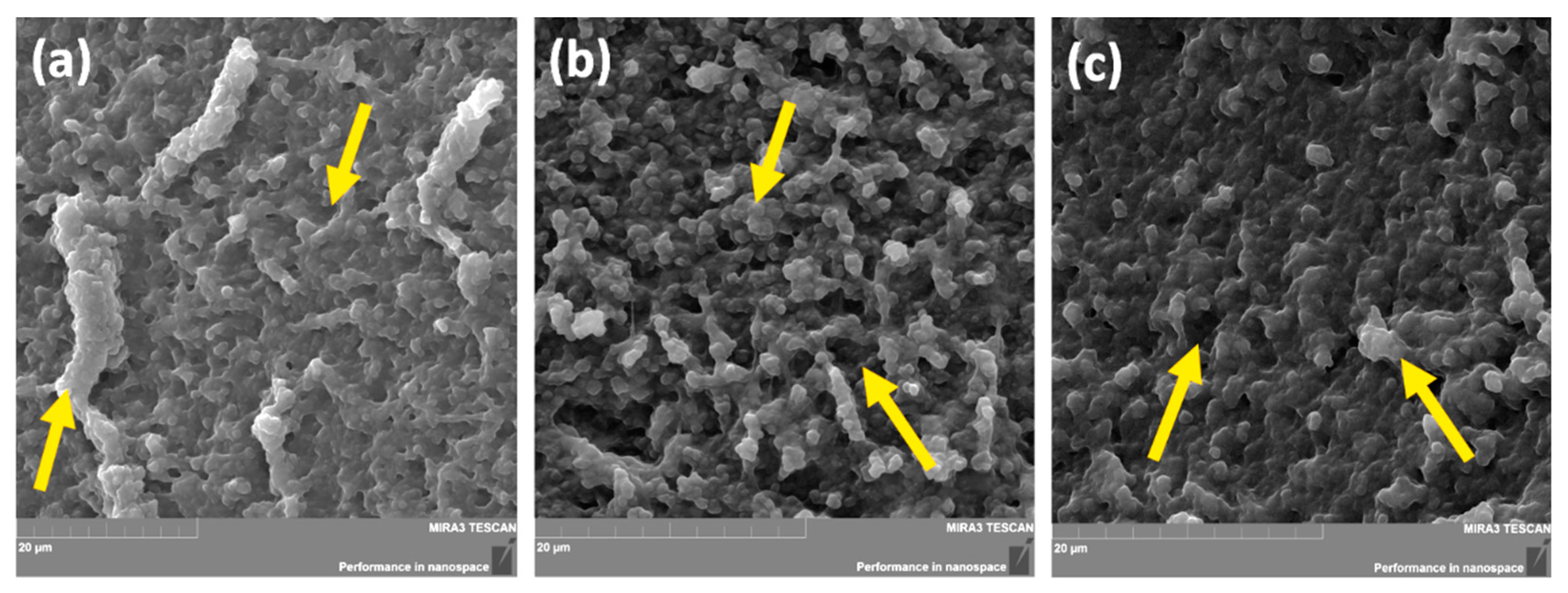 Pharmaceutics 14 00773 g005