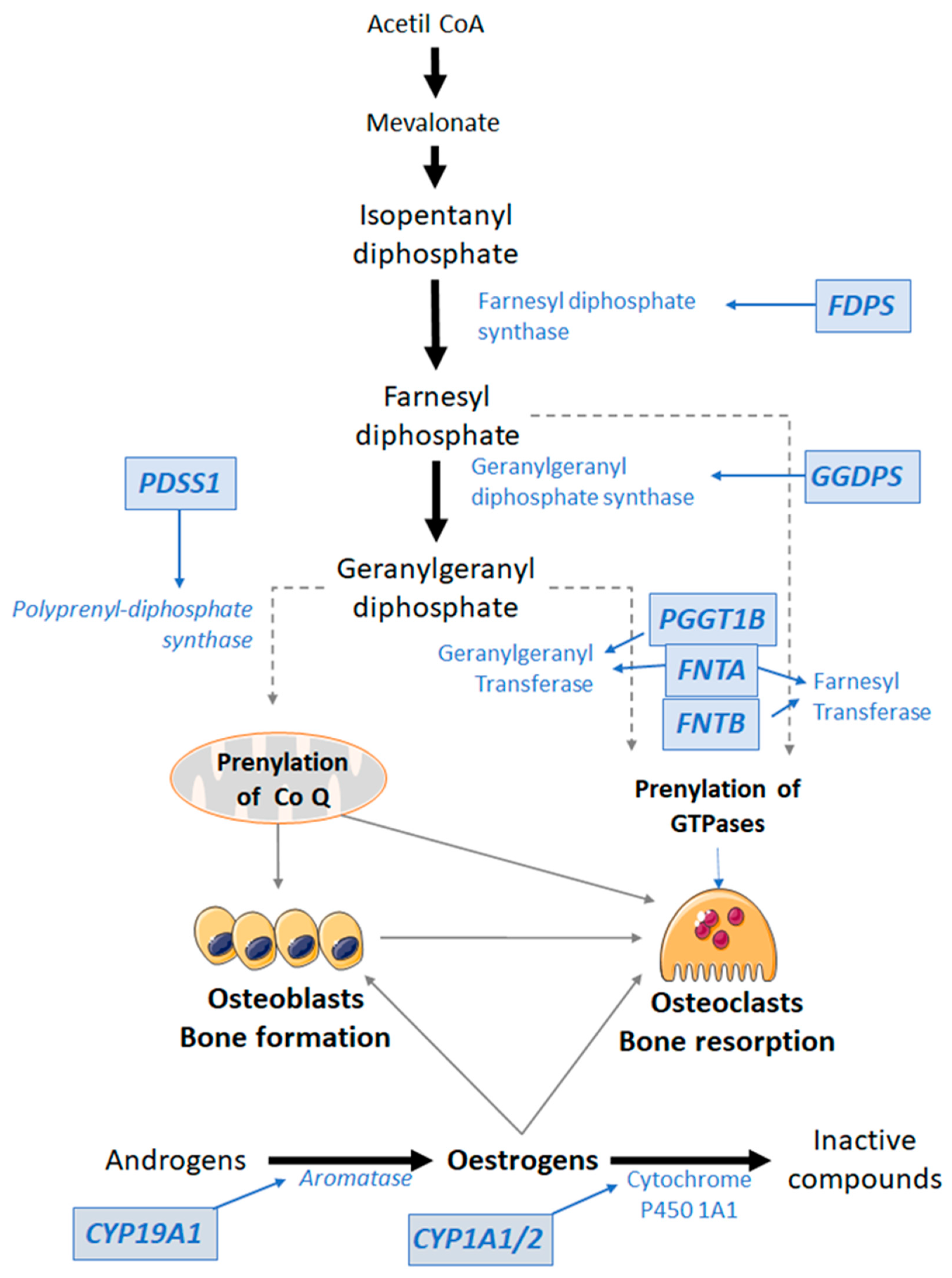 Pharmaceutics 14 00776 g008 Pharmaceutics 14 00776 g008