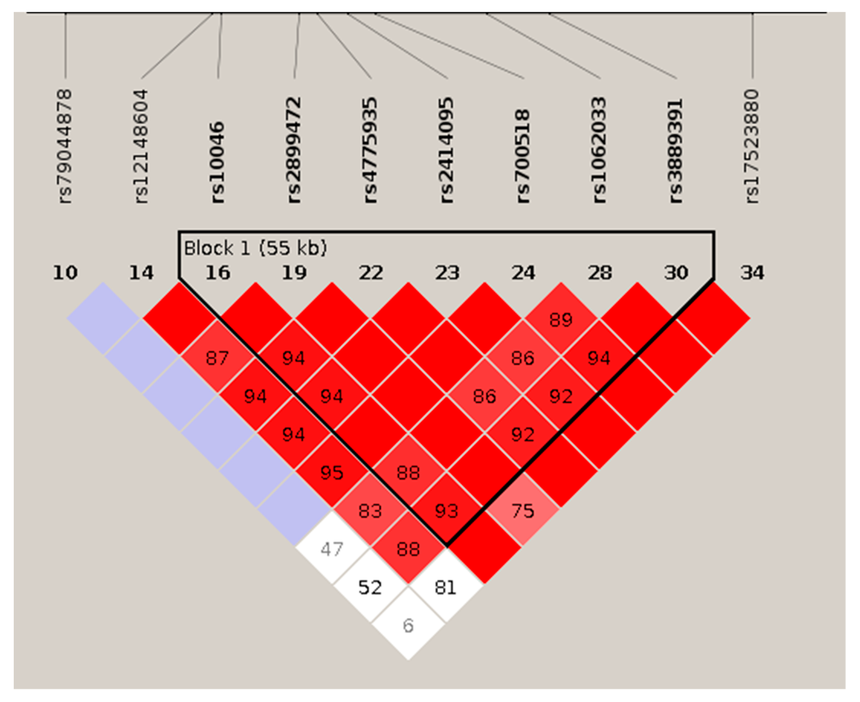 Pharmaceutics 14 00776 g009 Pharmaceutics 14 00776 g009