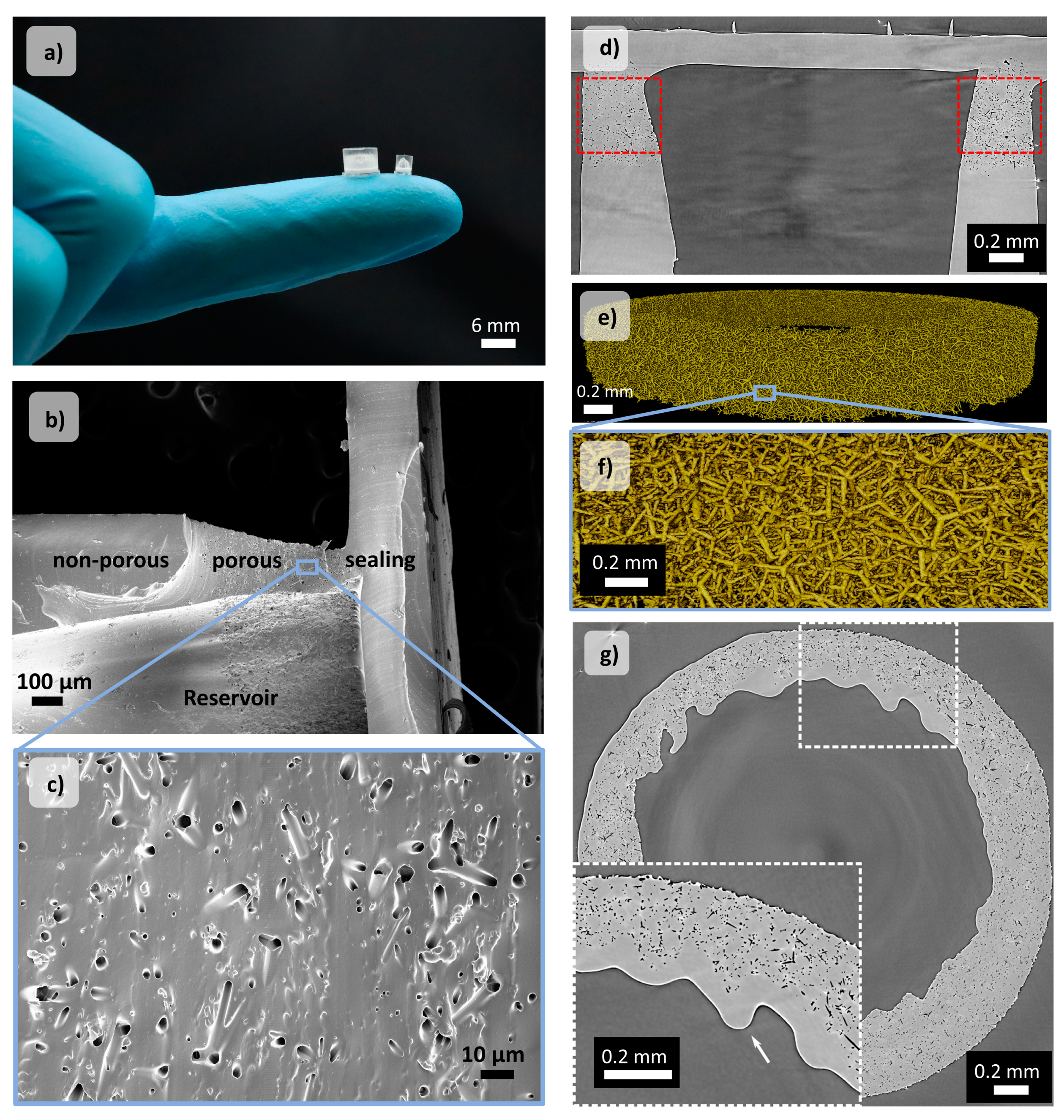Pharmaceutics 14 00777 g003