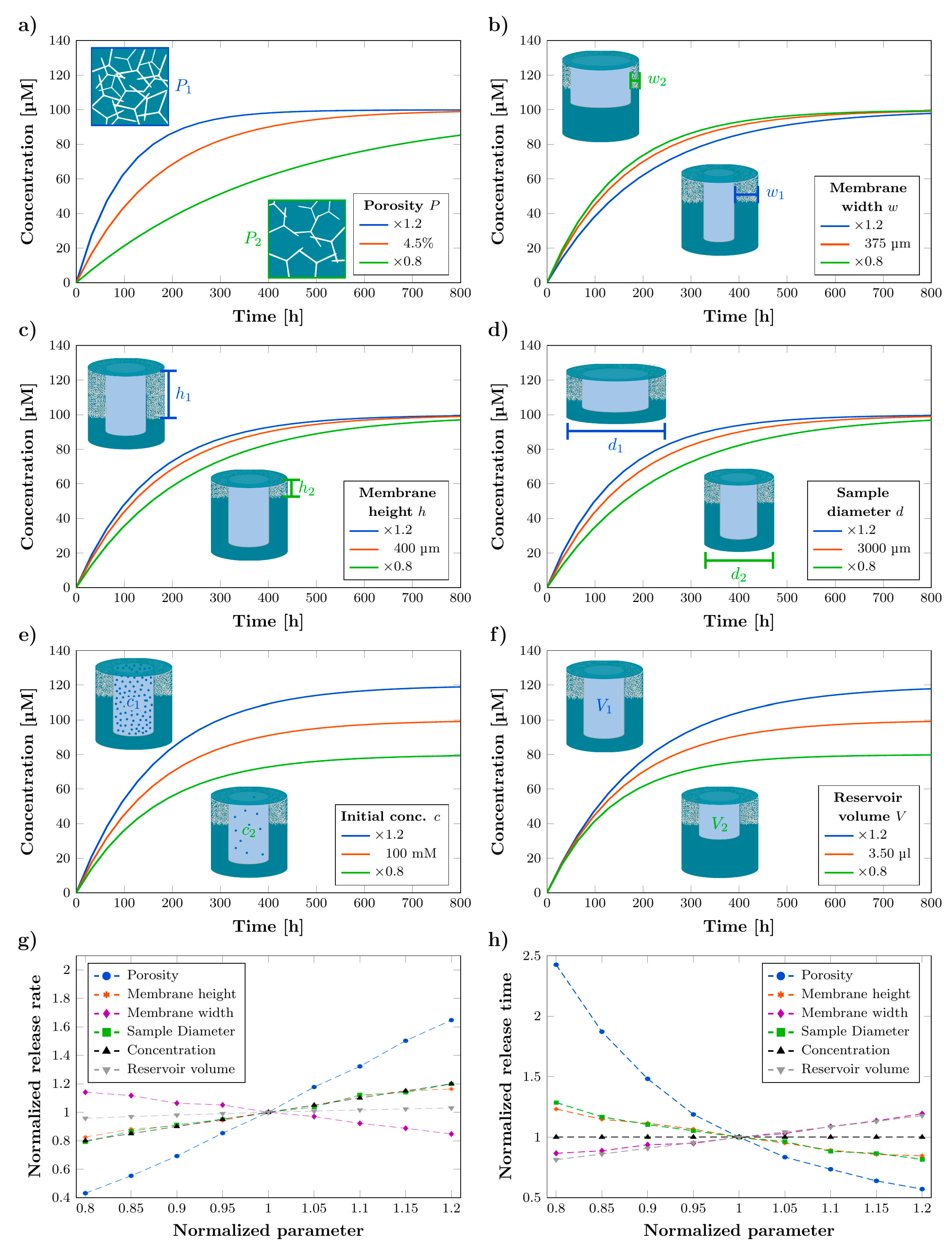 Pharmaceutics 14 00777 g005