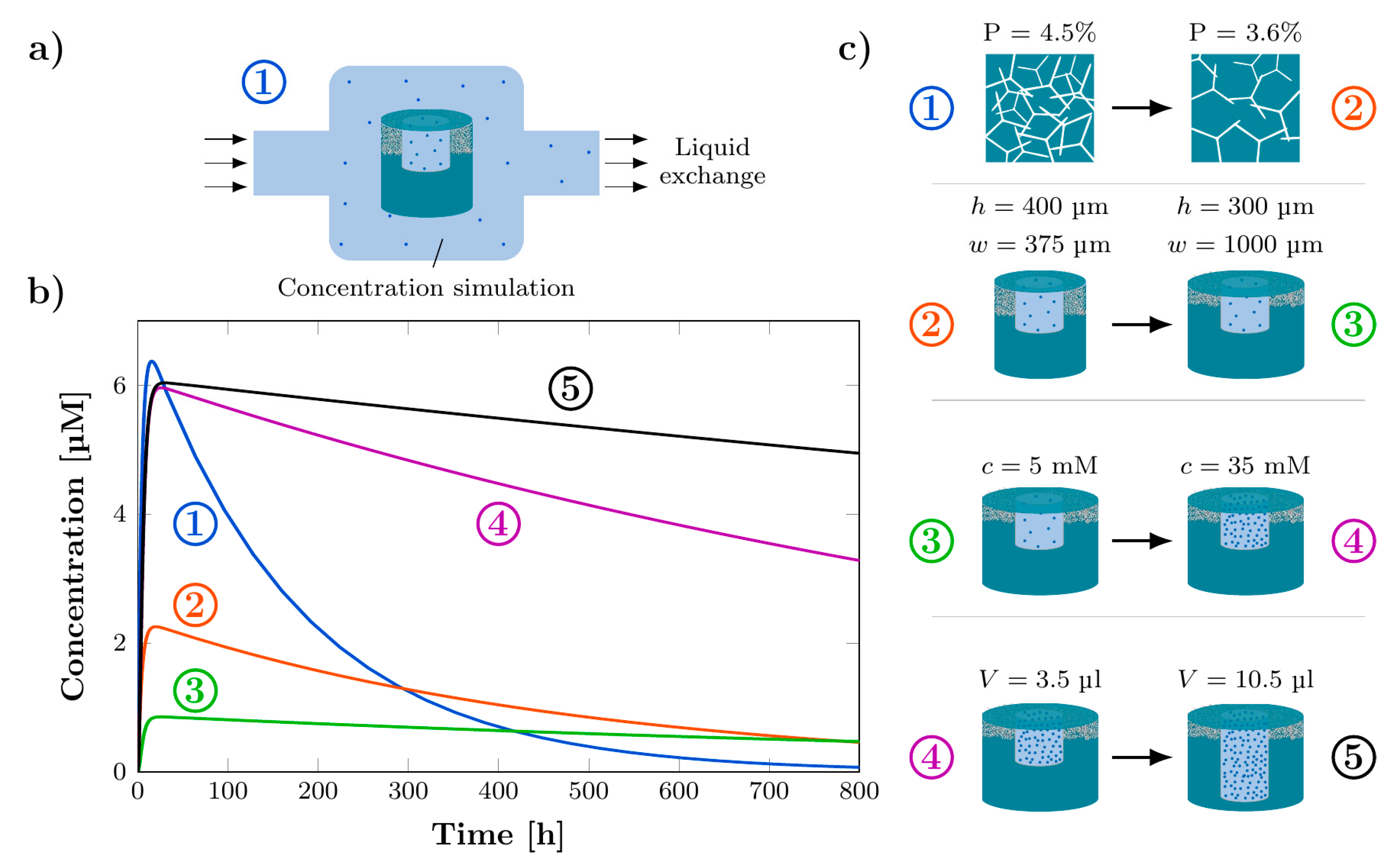 Pharmaceutics 14 00777 g008