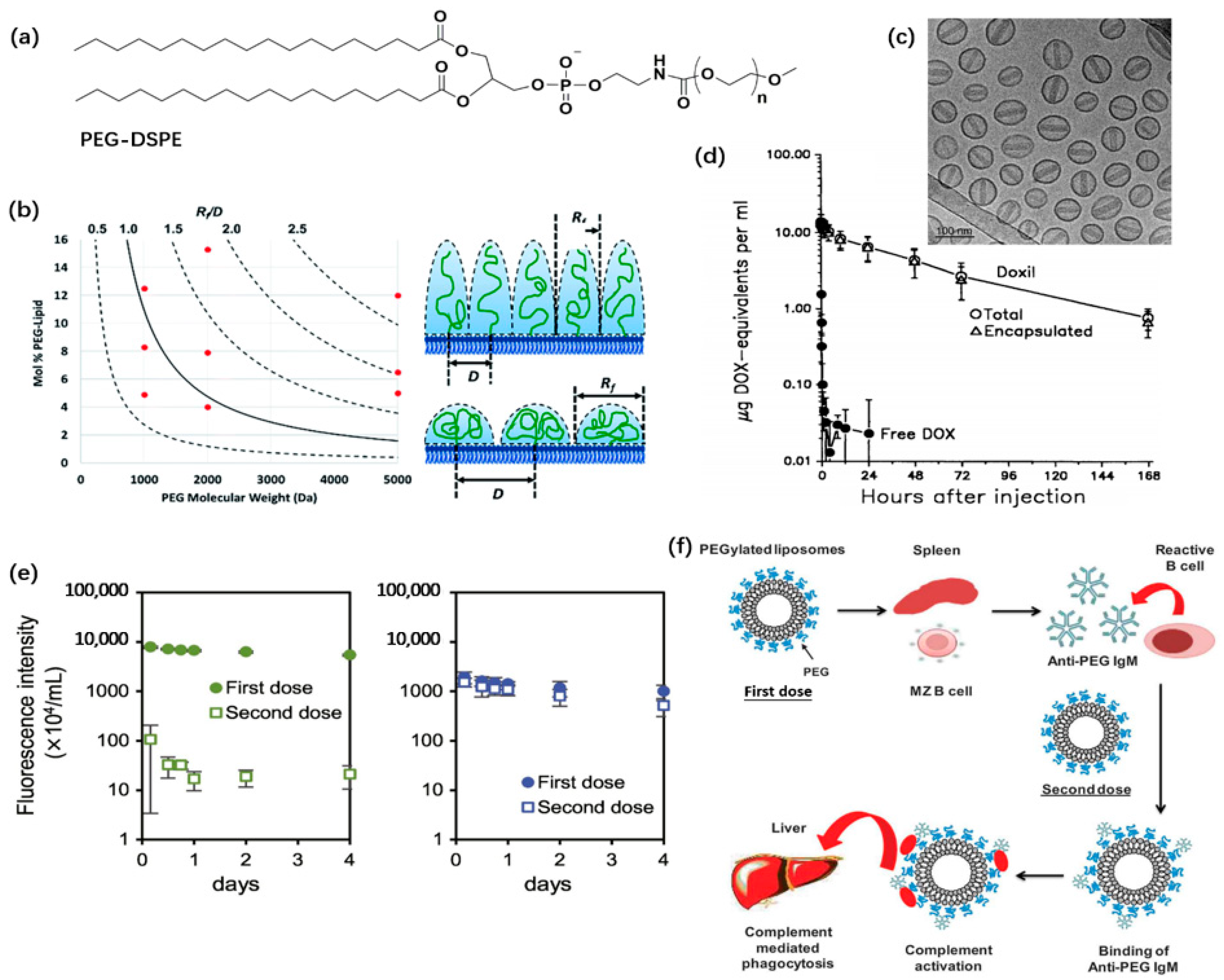 Pharmaceutics 14 00778 g004
